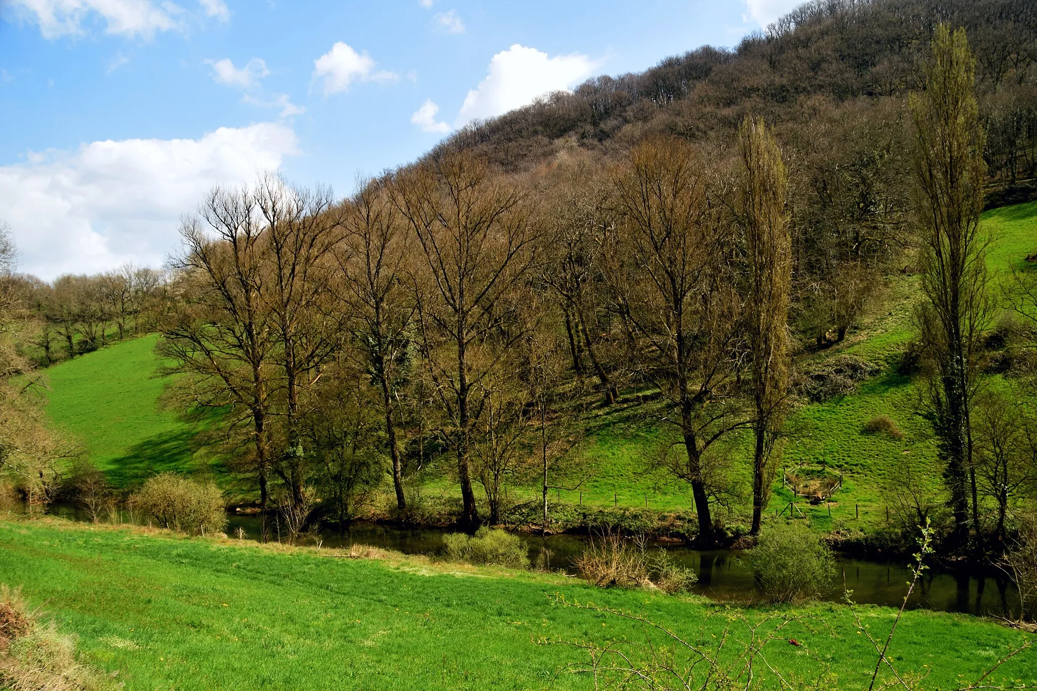 Photo showing: Aveyron River near Belcastel, depatrament of Aveyron, France