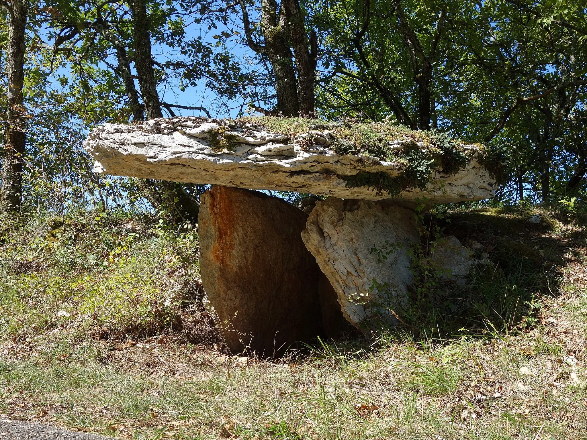 Photo showing: Le petit dolmen du Cune est encore semi-enterré dans le talus boisé bordant la route départementale n° 17 au pied du puech de "La Sole"… Dolmen typique de la région, il semble qu'il puisse s'effondrer à tout instant… mais ce n'est qu'une impression…