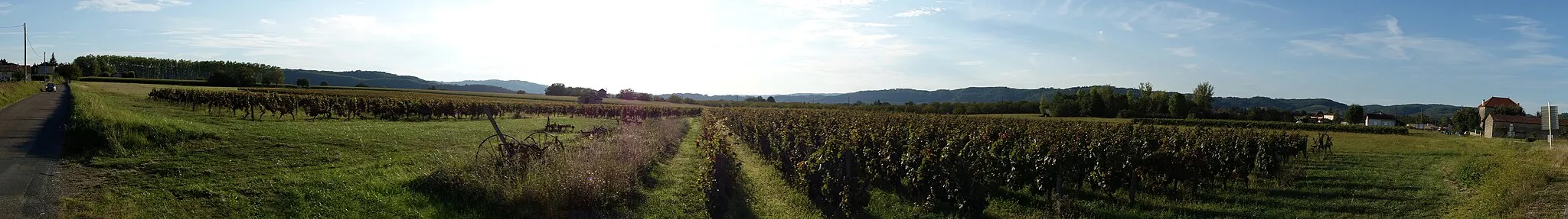 Photo showing: Une belle lumière d'été...