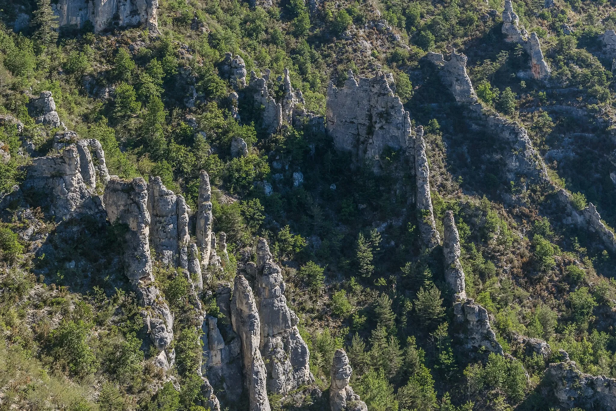 Photo showing: View of Gorges du Tarn from Point Sublime, commune of Saint-Georges-de-Lévéjac, Lozère, France