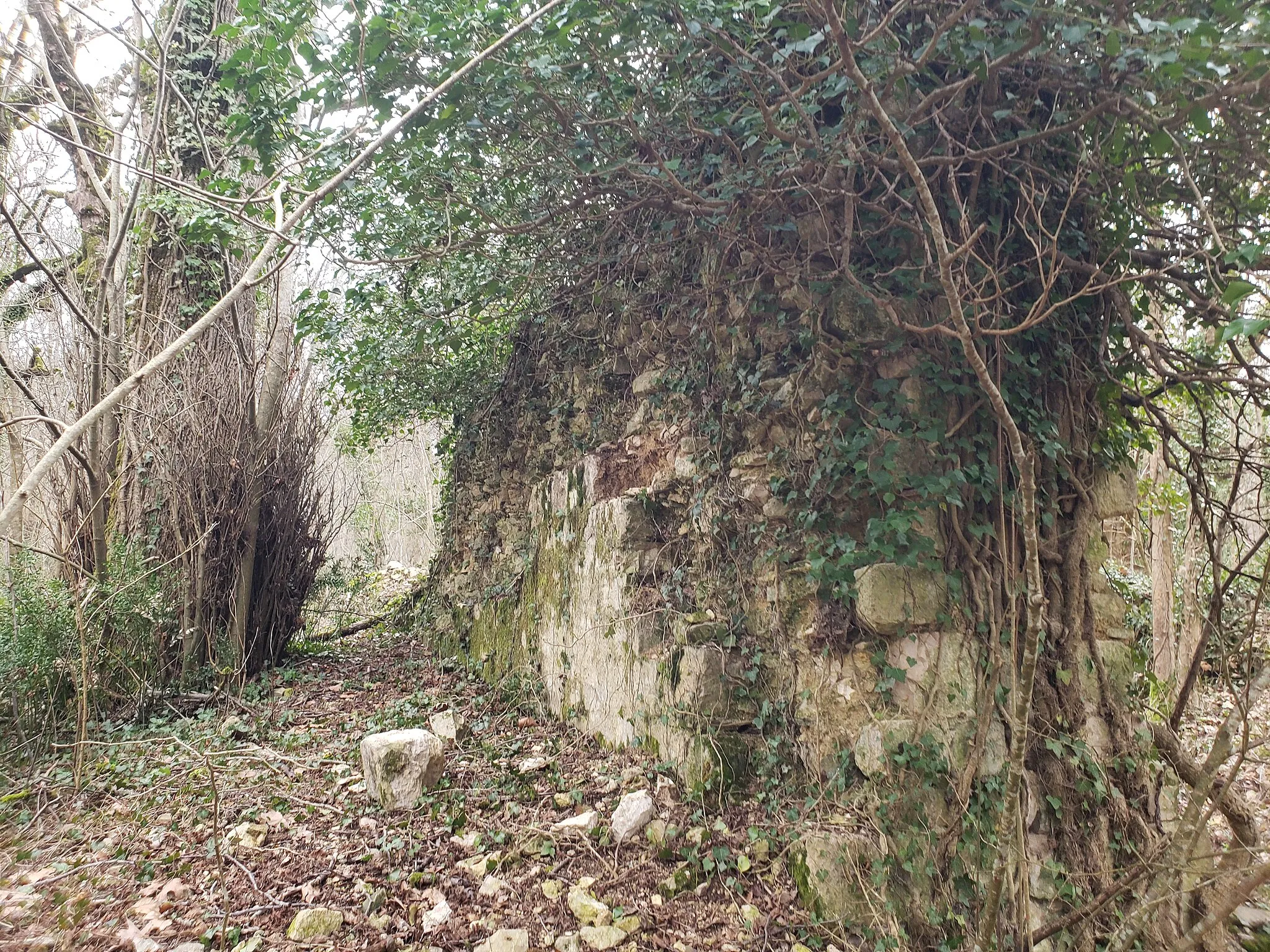 Photo showing: Les ruines de l'Abbaye Notre-Dame d'Ardorel, sur le camp militaire du 8e RPIMa (Payrin-Augmontel, Tarn)
