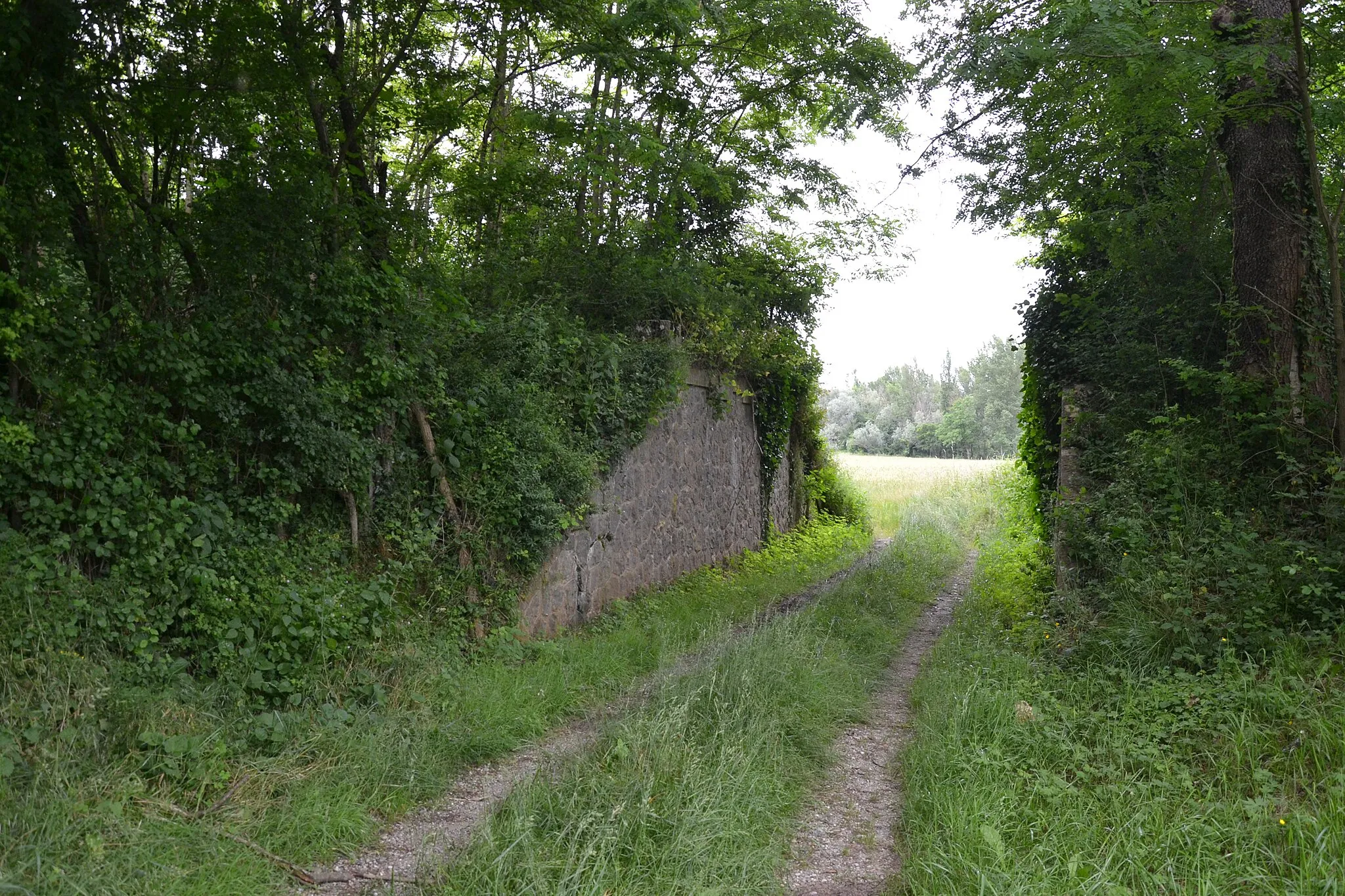 Photo showing: Ancienne voie ferrée de Pamiers à Limoux près de Coutens (Ariège, France).