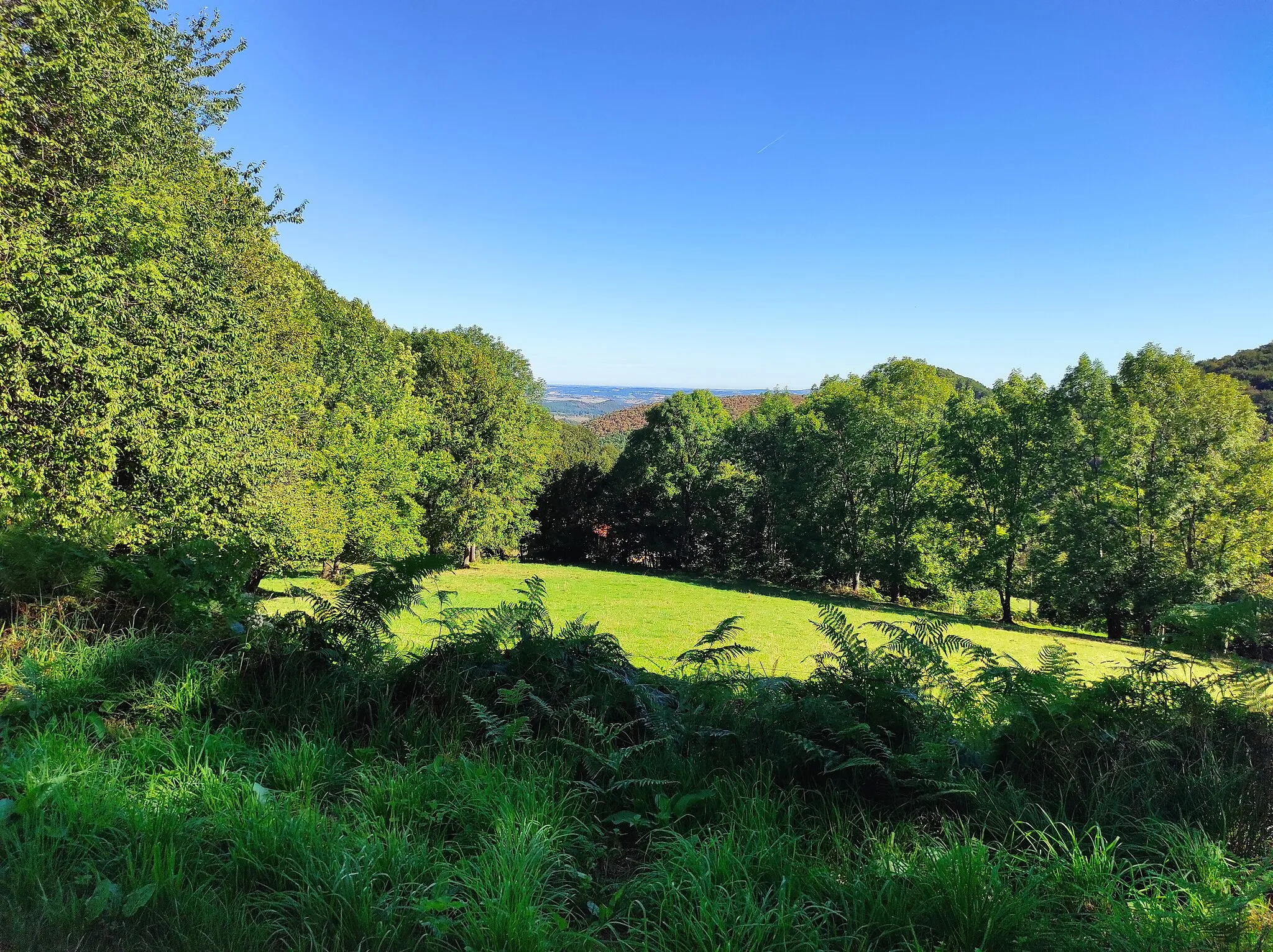 Photo showing: Vue depuis le Col de Larrieu (côté Aspet)