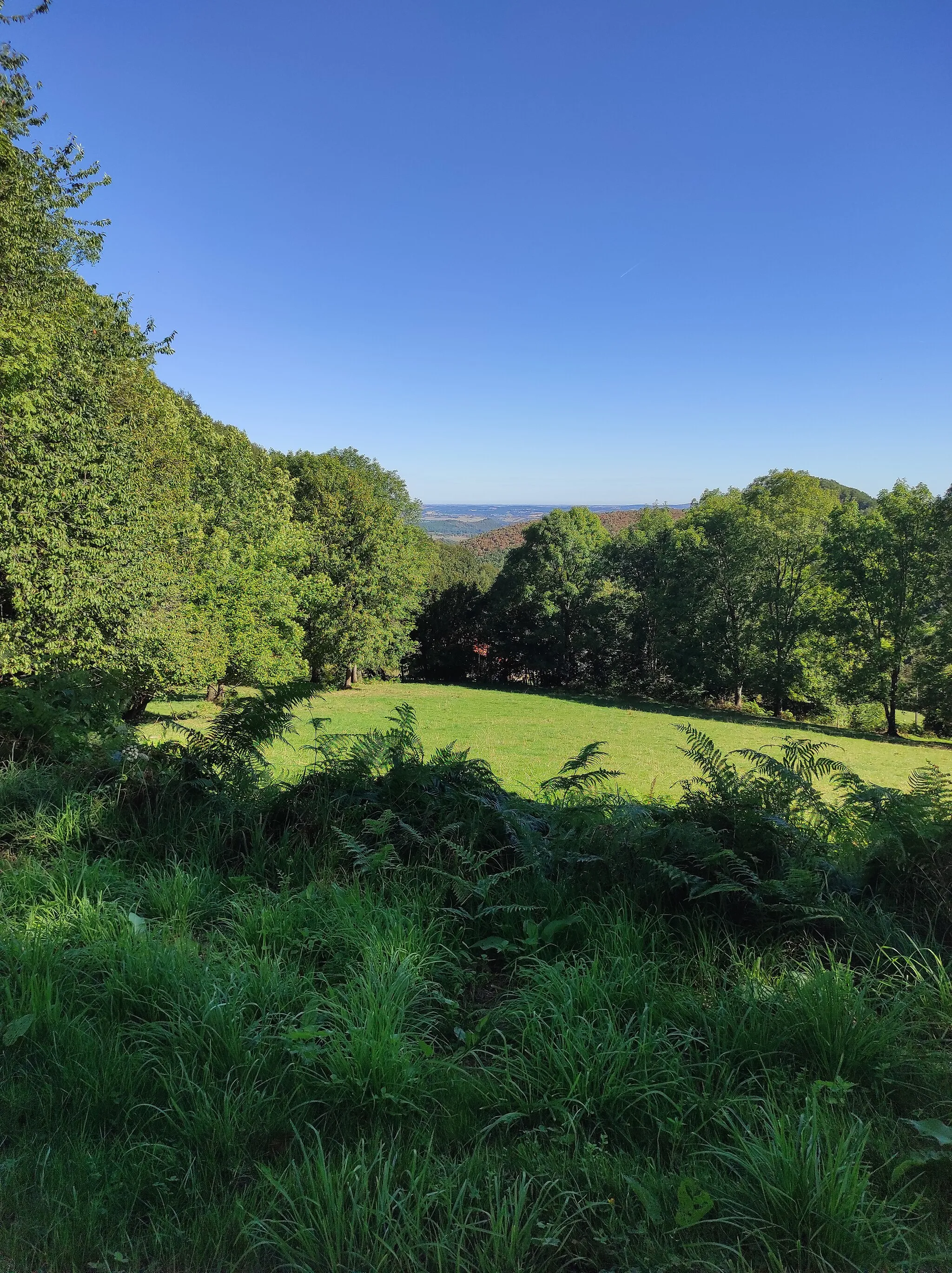 Photo showing: Vue depuis le Col de Larrieu (côté Aspet)