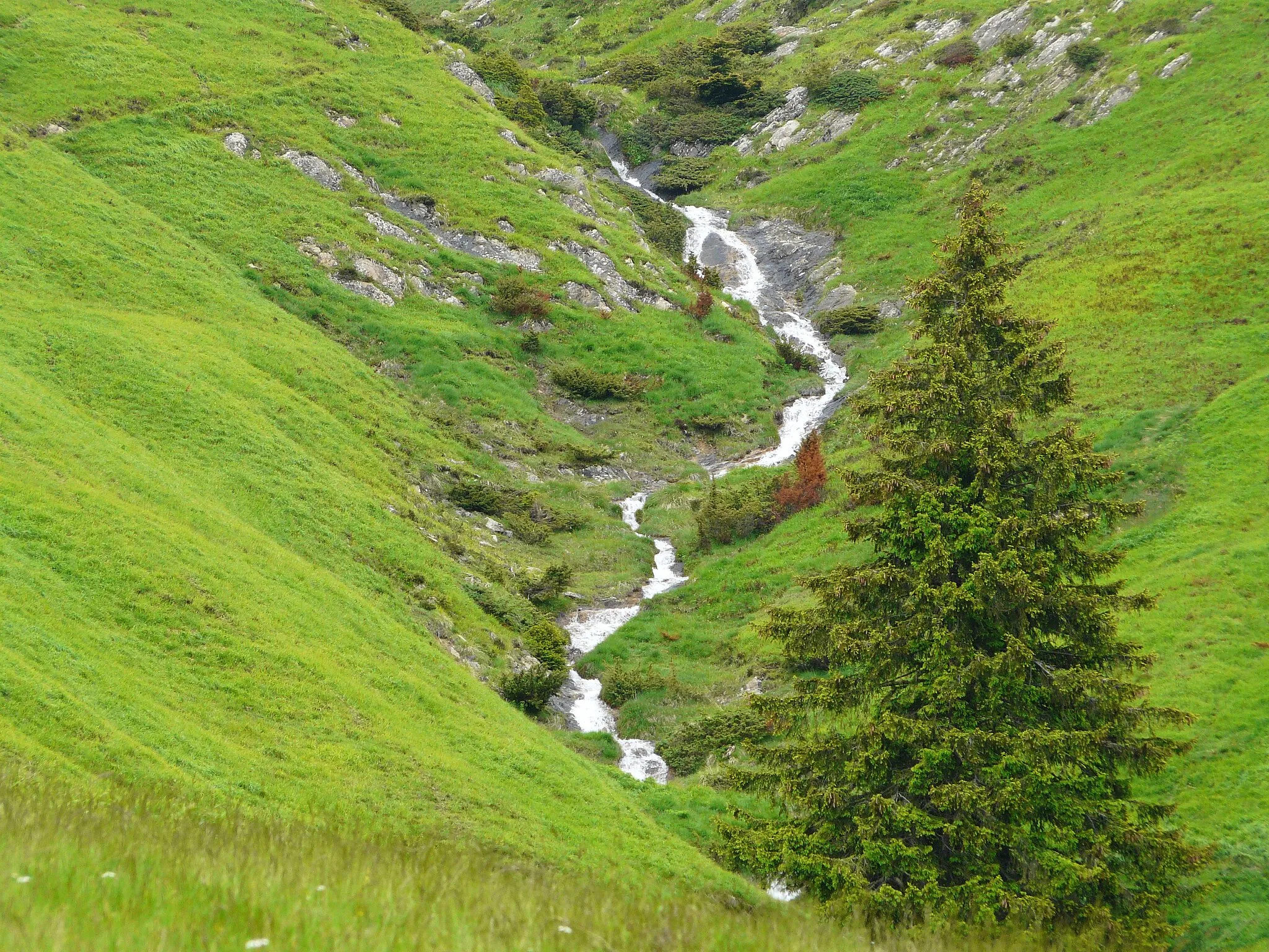 Photo showing: Le ruisseau de Balès descend en cascatelles depuis le port de Balès, Bourg-d'Oueil, Haute-Garonne, France.