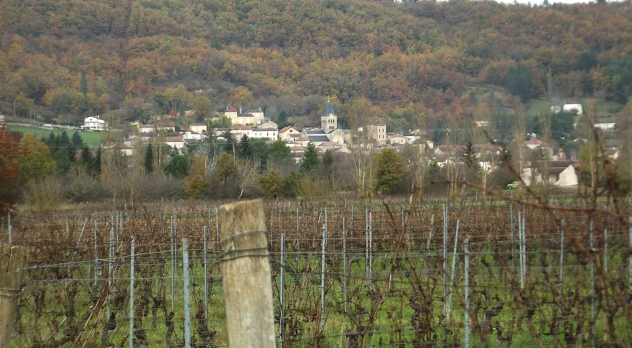 Photo showing: DURAVEL, Les Vignes et le Village