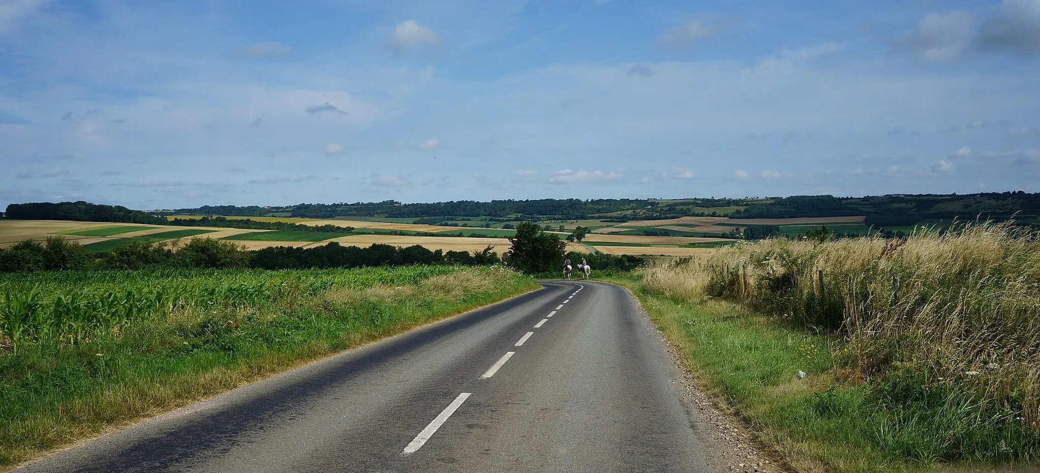 Photo showing: A la croisée du chemin qui mène à Notre-Dame du Mont Nielles-lès-Bléquin et de la D191 .- Seninghem Pas-de-Calais Hauts-de-France