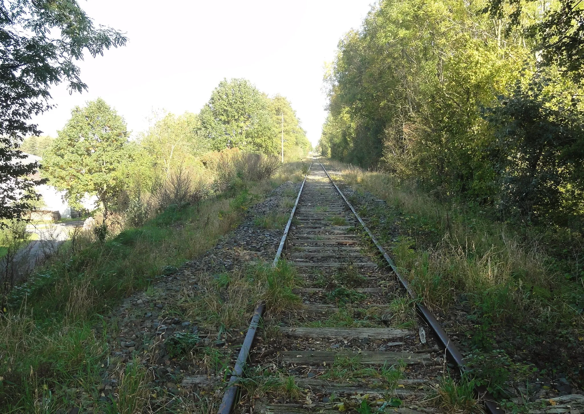 Photo showing: État de la section d'Orchies à Ascq de la ligne de Somain à Halluin au 15 octobre 2017. Reportage réalisé pour une prospective sur l'utilisation de cette section pour un service entre Comines-Belgique et Orchies via Lille-Flandres dans le cadre du Réseau Express Grand Lille.