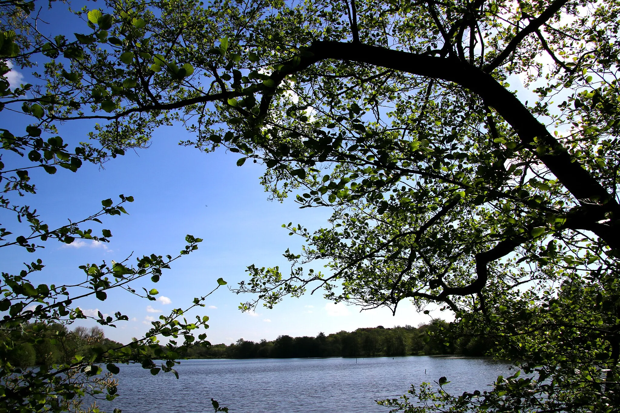 Photo showing: Condette. Le lac des miroirs.