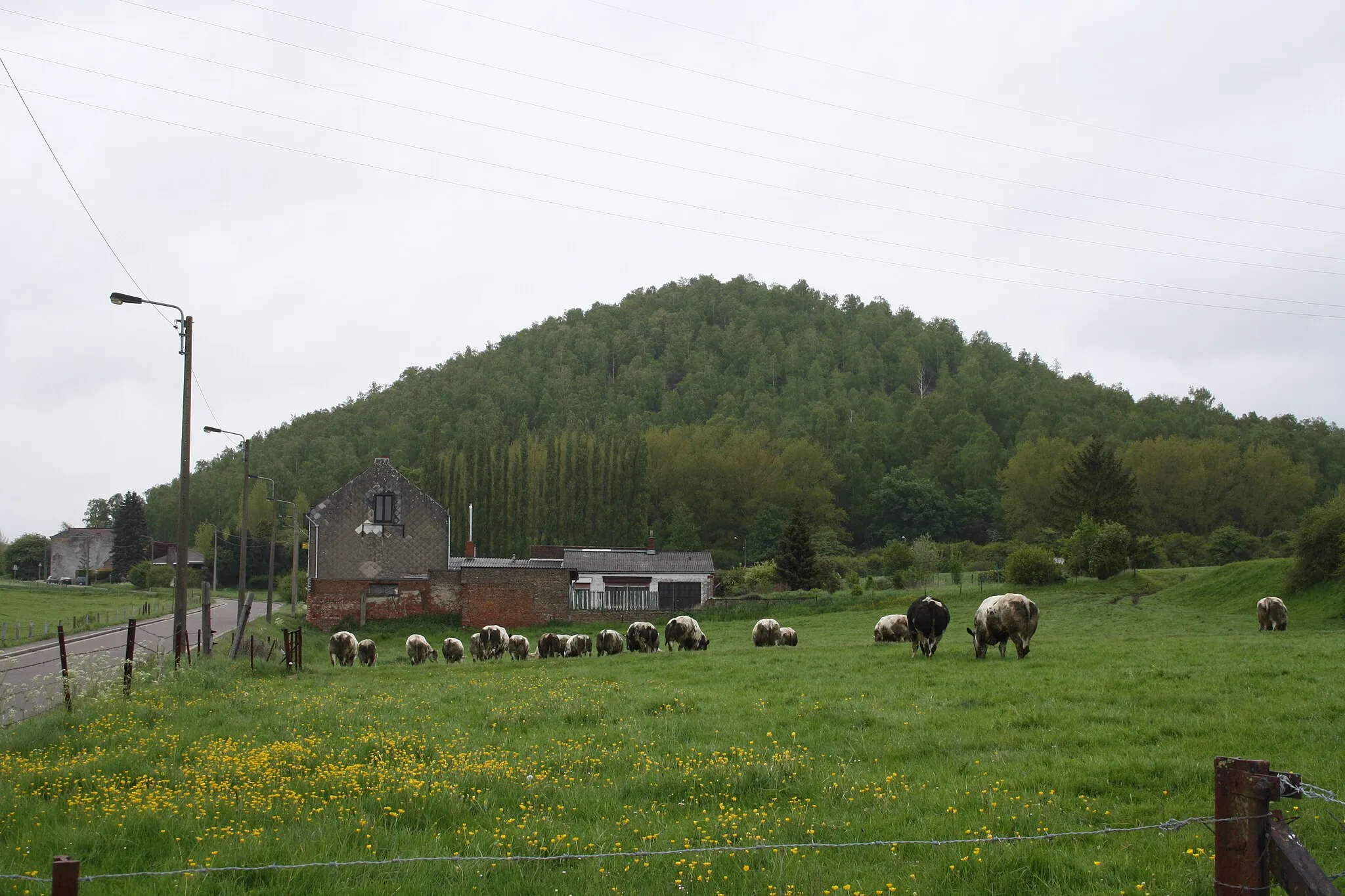 Photo showing: This is a photo of a monument in Wallonia, number: