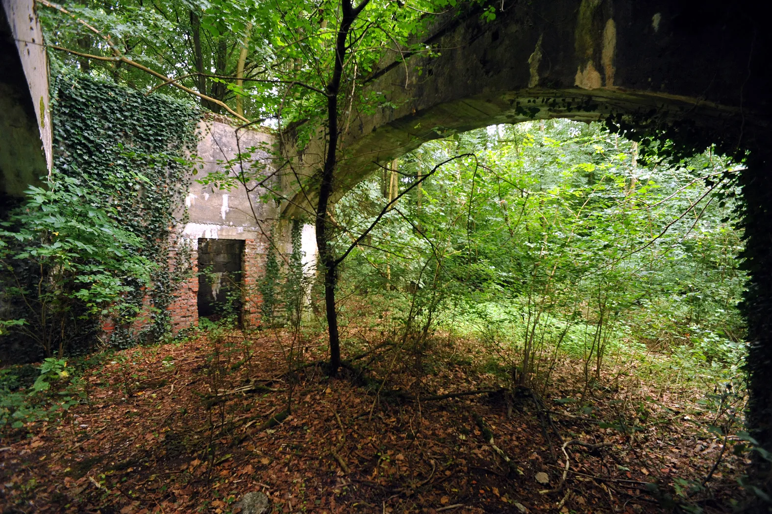 Photo showing: V1-site Yvrench (Bois Carré), the arches of the amagnetic building to collimate the compass; Somme, France.