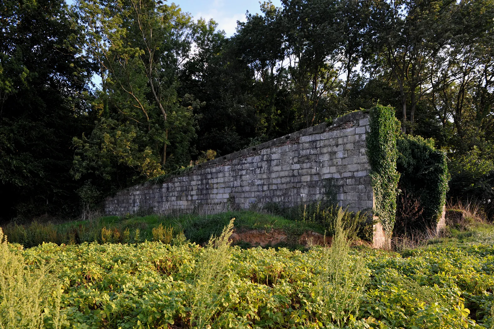 Photo showing: V1-site Yvrench (Bois Carré), protection walls of the launching pad; Somme, France.