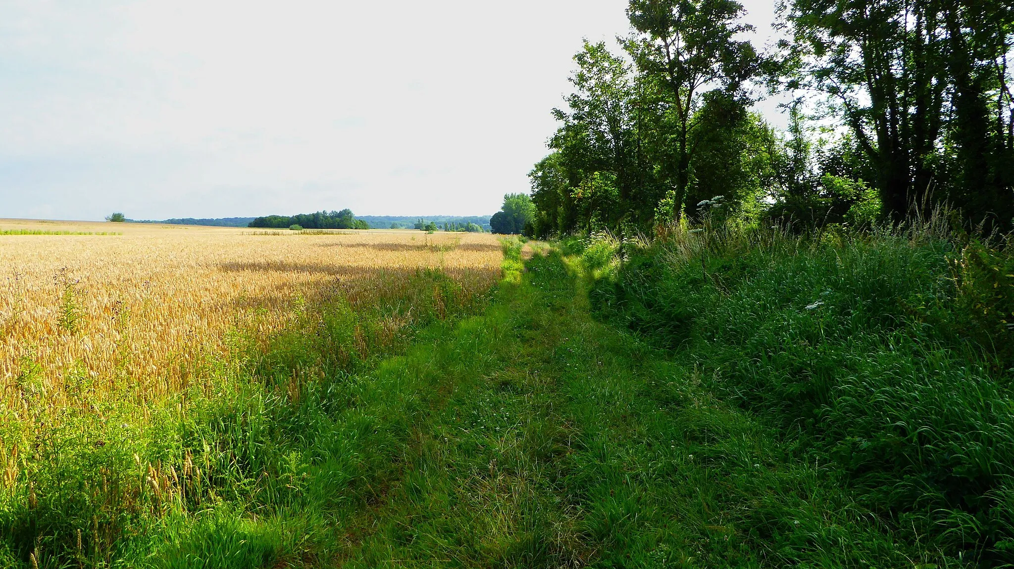 Photo showing: Monts d'Affringues Pas-de-Calais Hauts-de-France