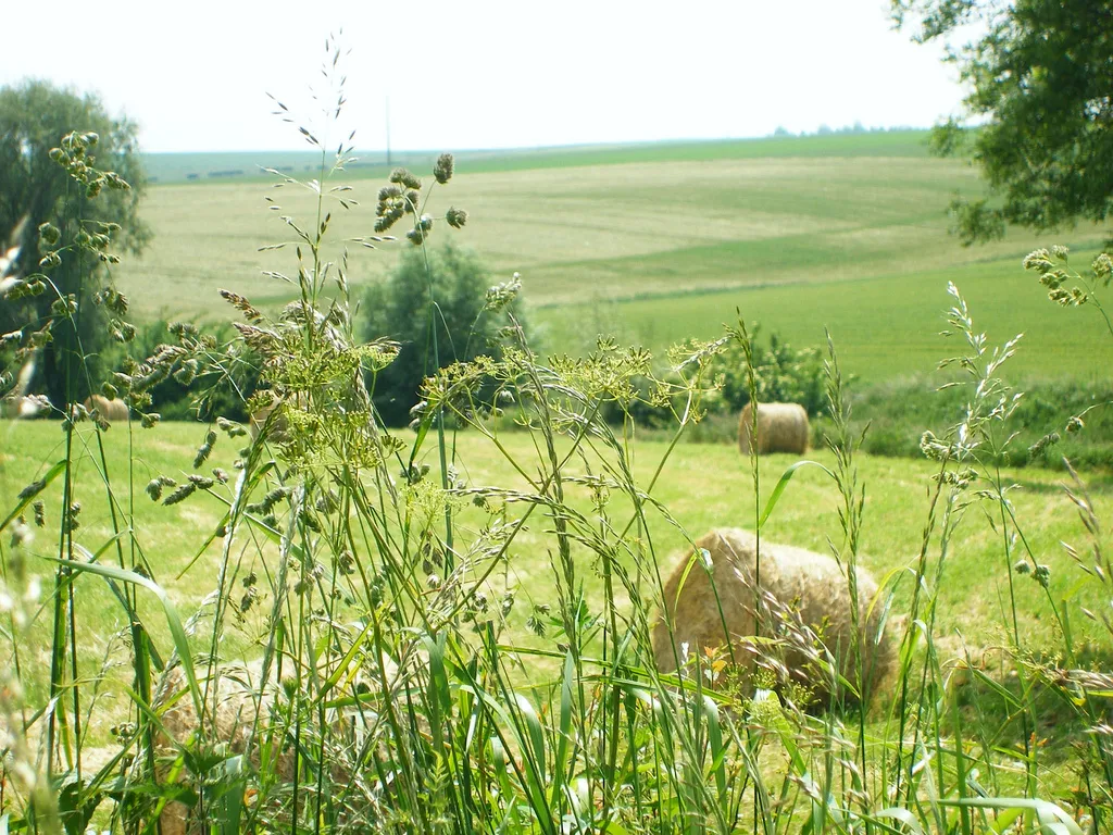 Photo showing: Boisdinghem.