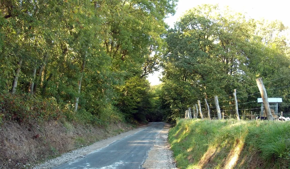 Photo showing: Esquerdes - Route de Wisques