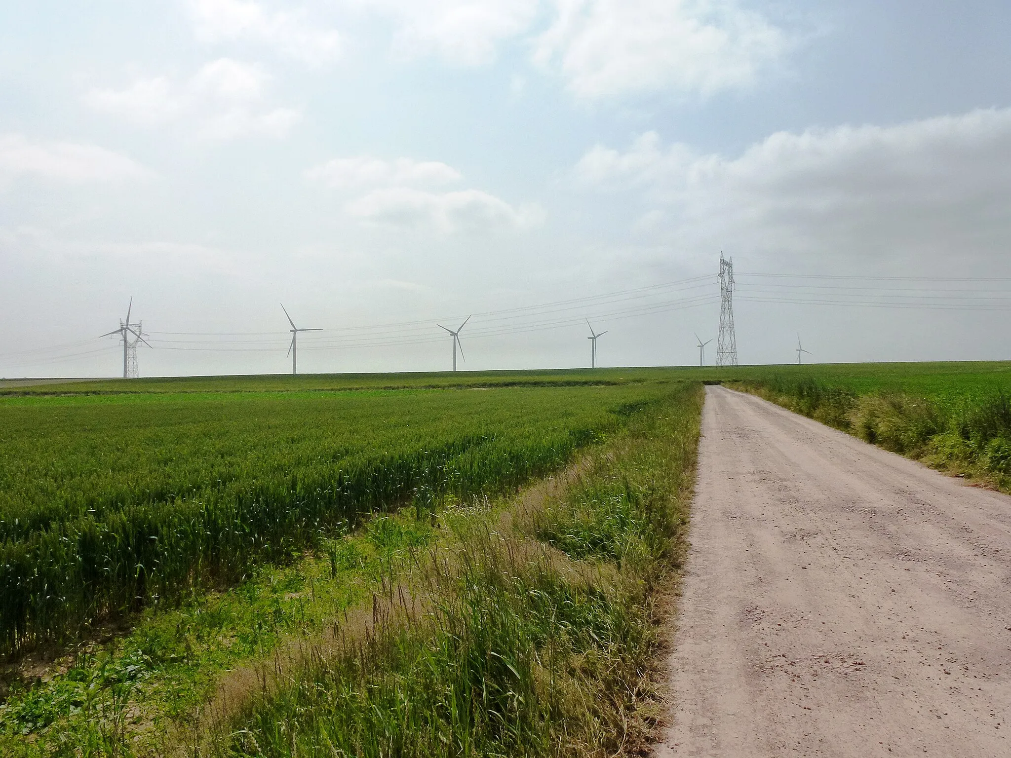 Photo showing: Sains-lès-Pernes (Pas-de-Calais, Fr) eoliennes