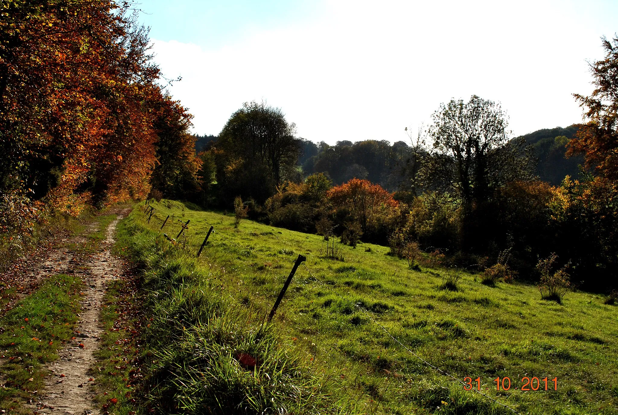 Photo showing: Le chemin du bois de Zoteux
