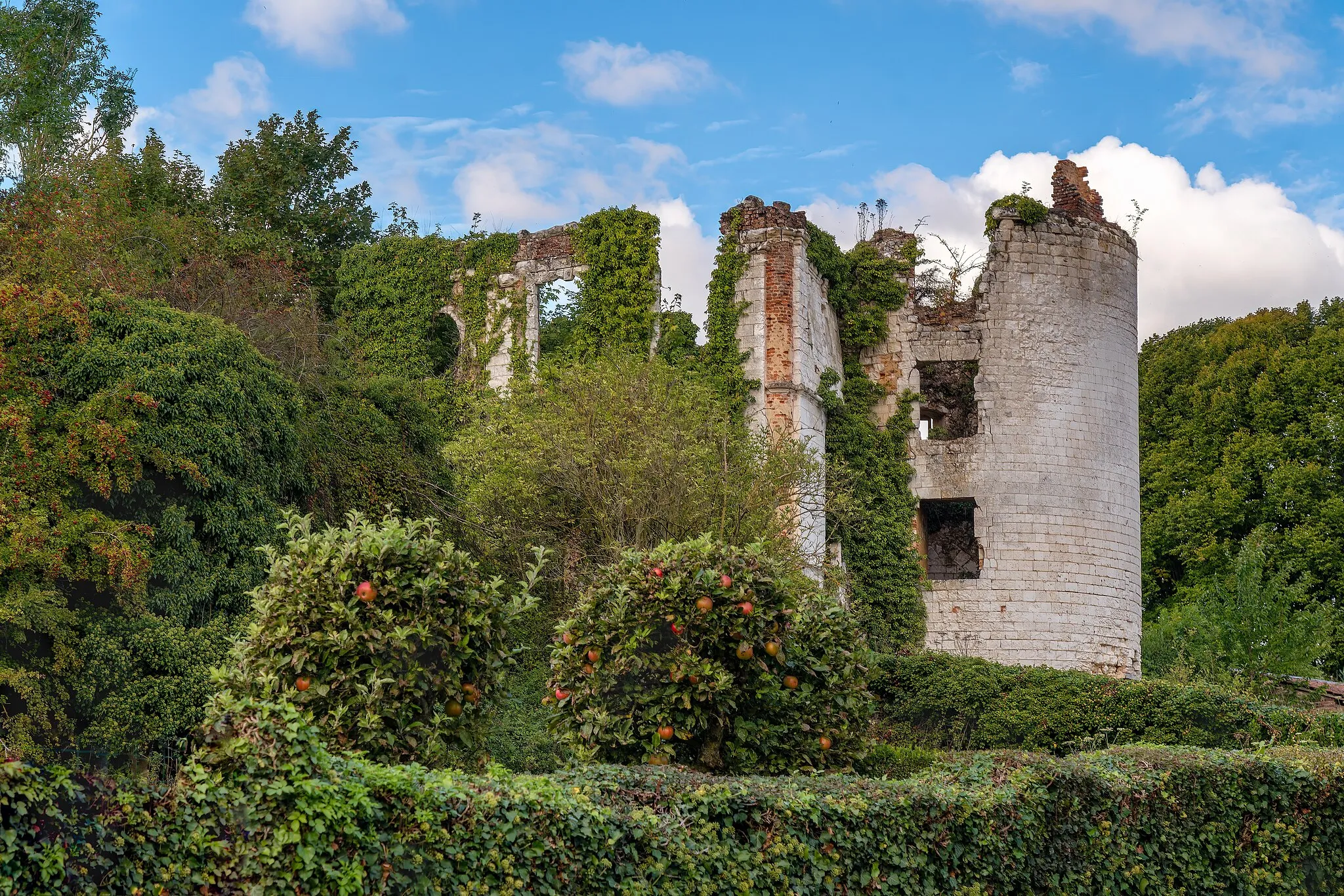 Photo showing: Les vestiges du château de Longvilliers.