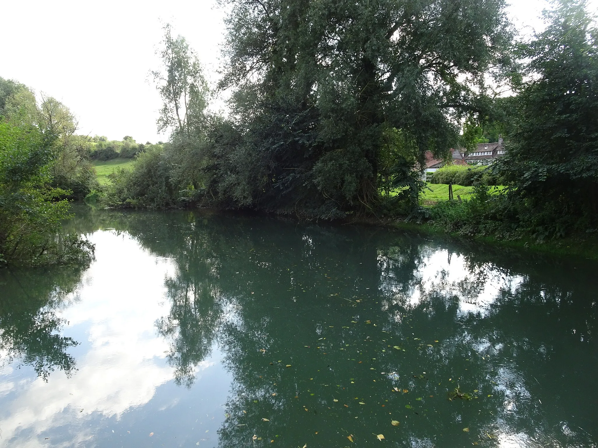 Photo showing: La Canche à La Madelaine-sous-Montreuil