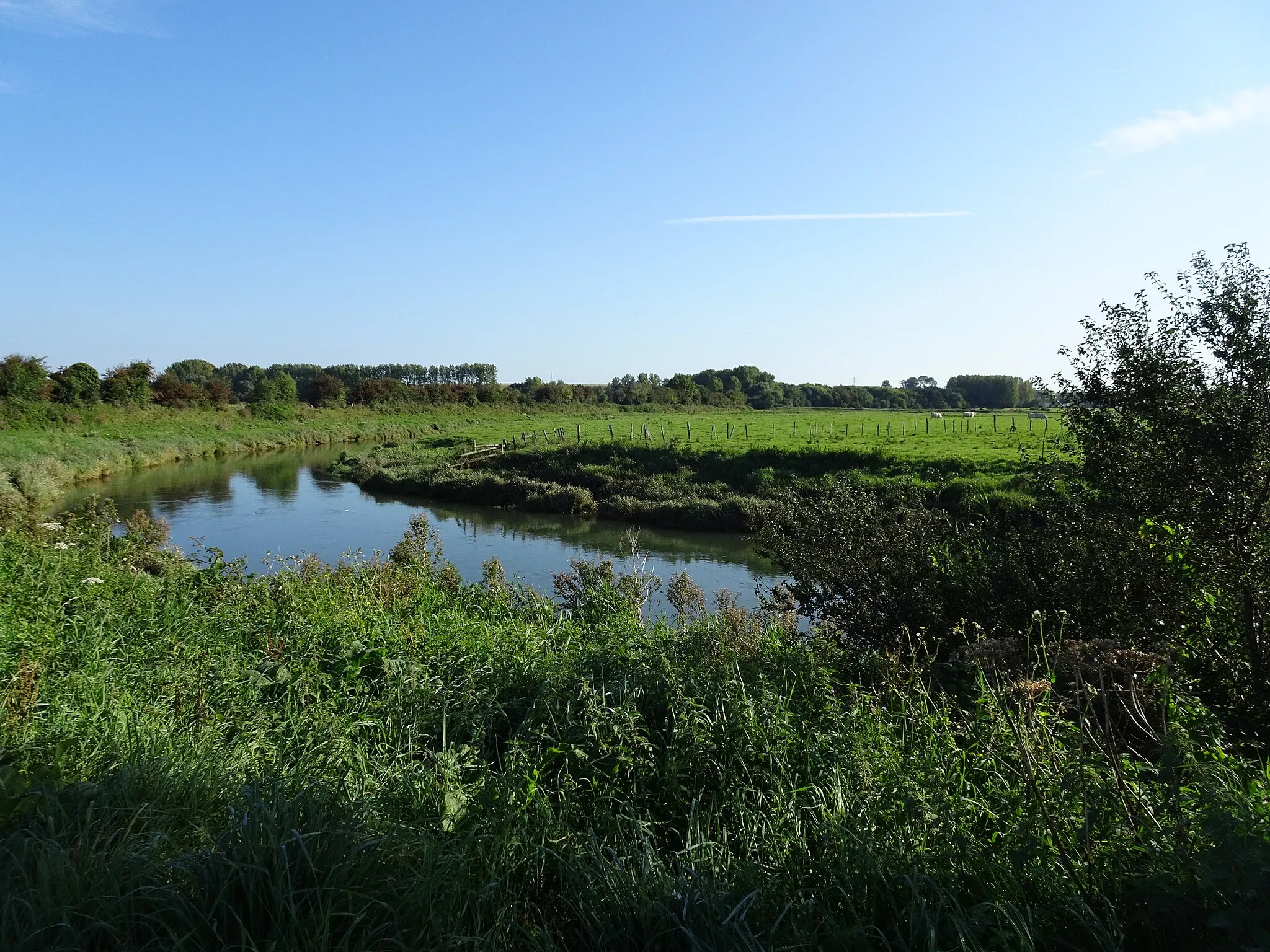 Photo showing: La Canche à La Madelaine-sous-Montreuil