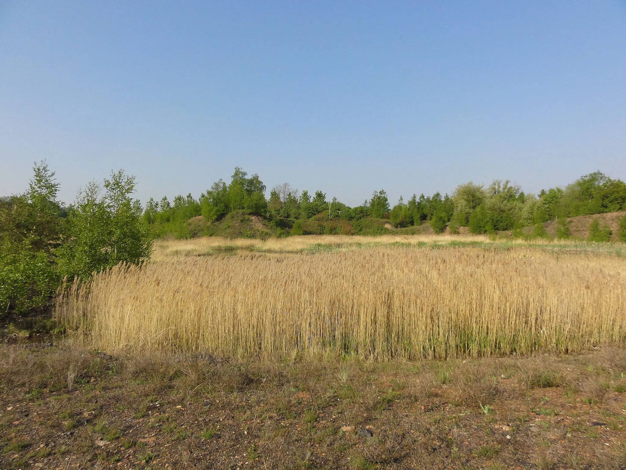 Photo showing: Terril n° 125, Sainte Marie Est, fosse Sainte-Marie de la Compagnie des mines d'Aniche dans le bassin minier du Nord-Pas-de-Calais, Auberchicourt, Nord, Nord-Pas-de-Calais, France.