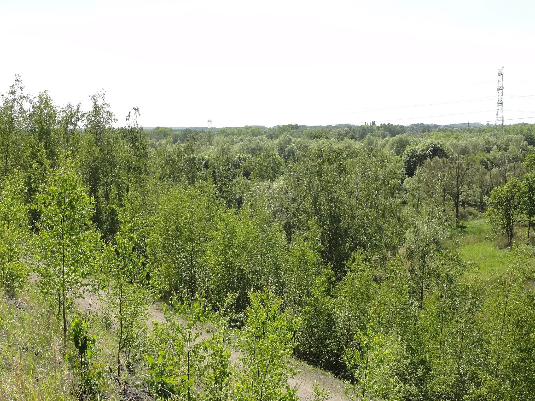 Photo showing: Terril n° 254, sans dénomination, Fosse De Sessevalle de la Compagnie des mines d'Aniche (principalement), Pecquencourt, Nord, Nord-Pas-de-Calais, France.