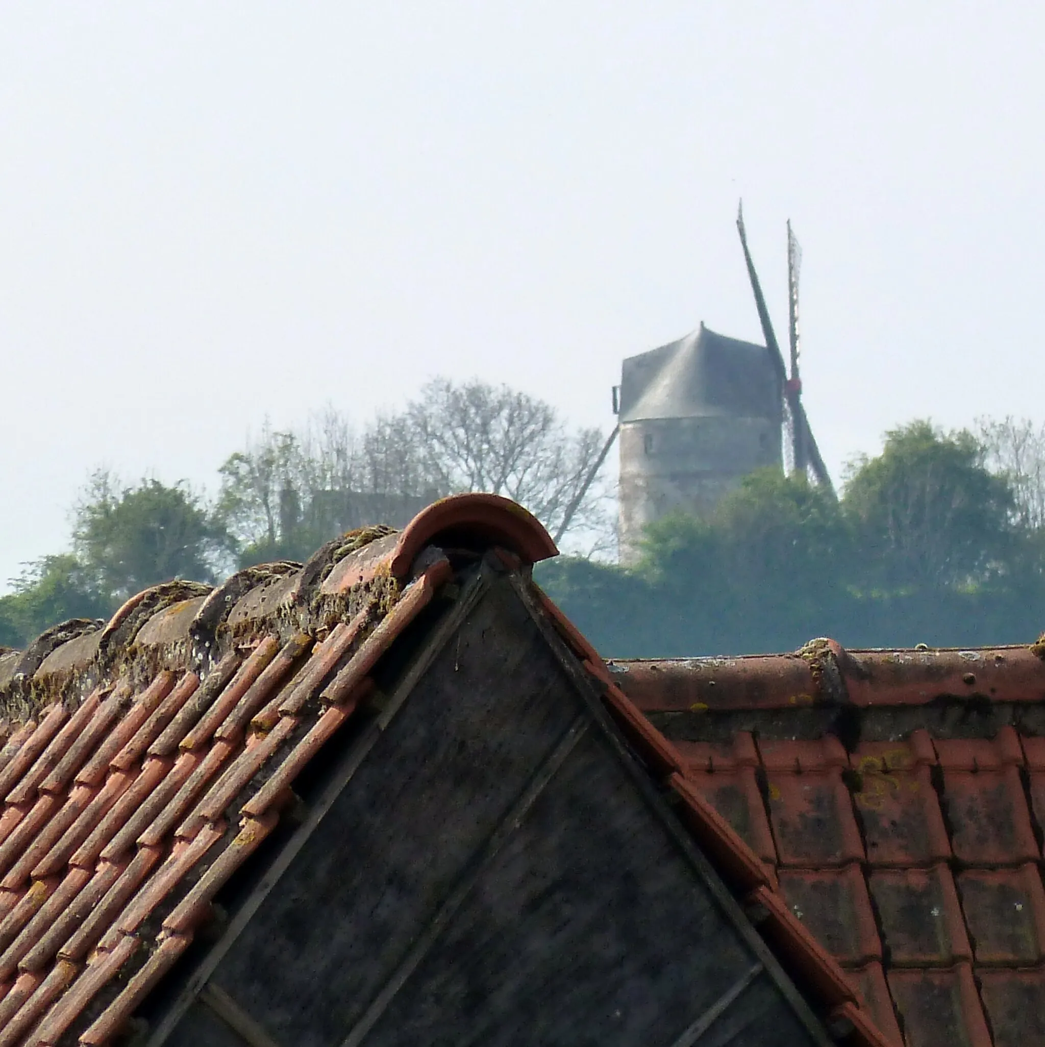 Photo showing: Le moulin Debacker ou moulin d’Achille  à Moringhem Pas-de-Calais.- France.