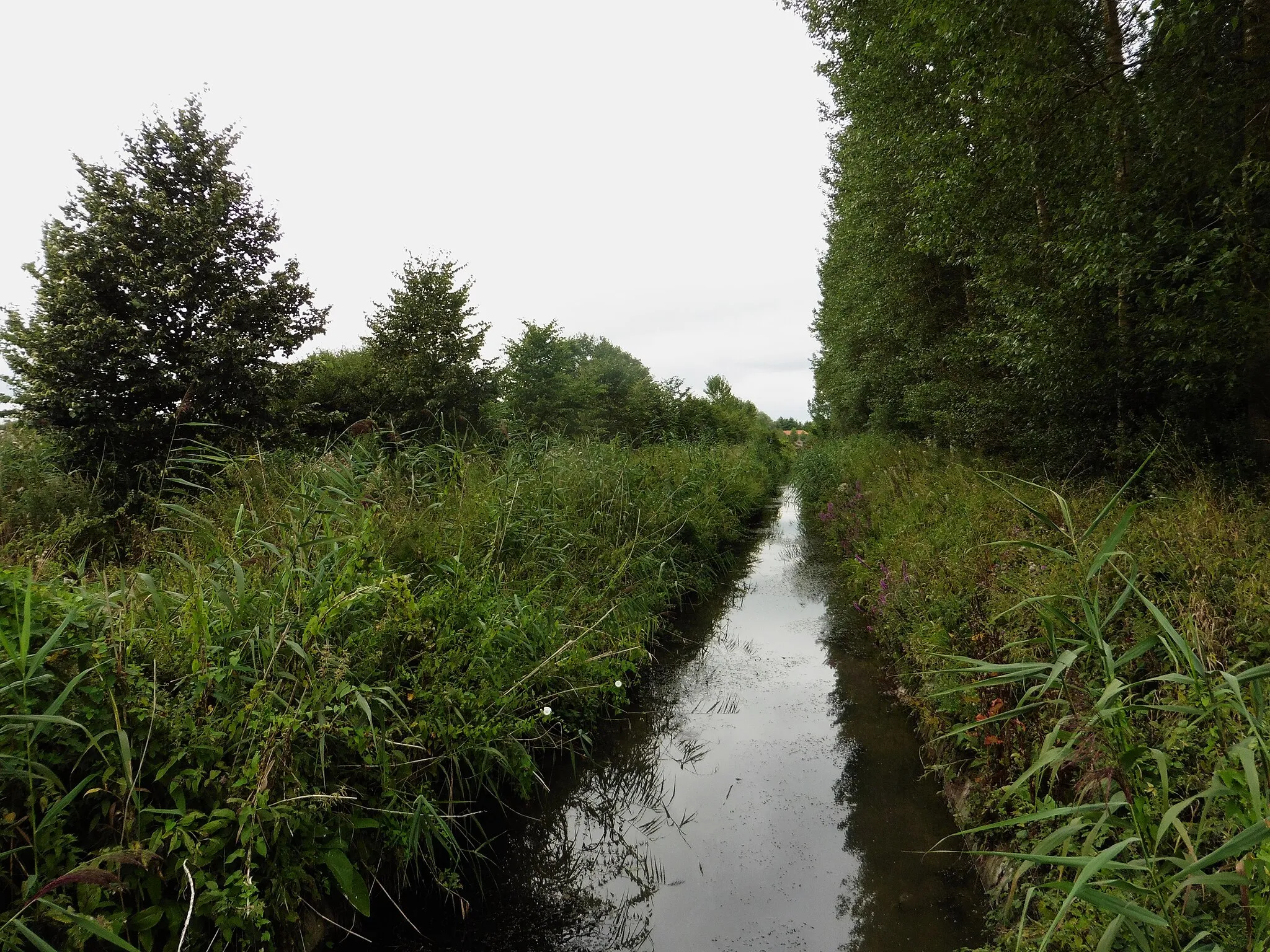 Photo showing: La Râches à Marchiennes , Nord région Hauts-de-France France.