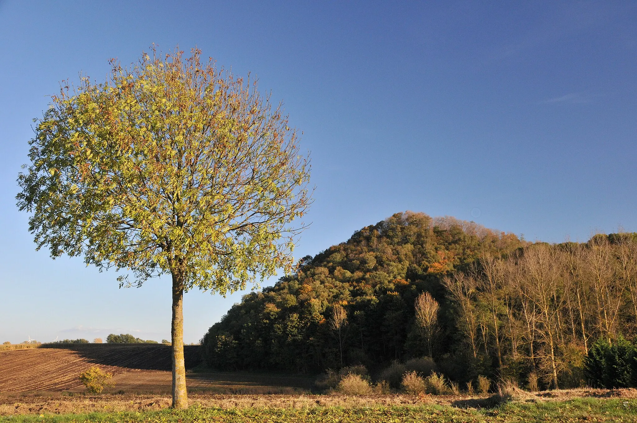 Photo showing: This is a photo of a monument in Wallonia, number: