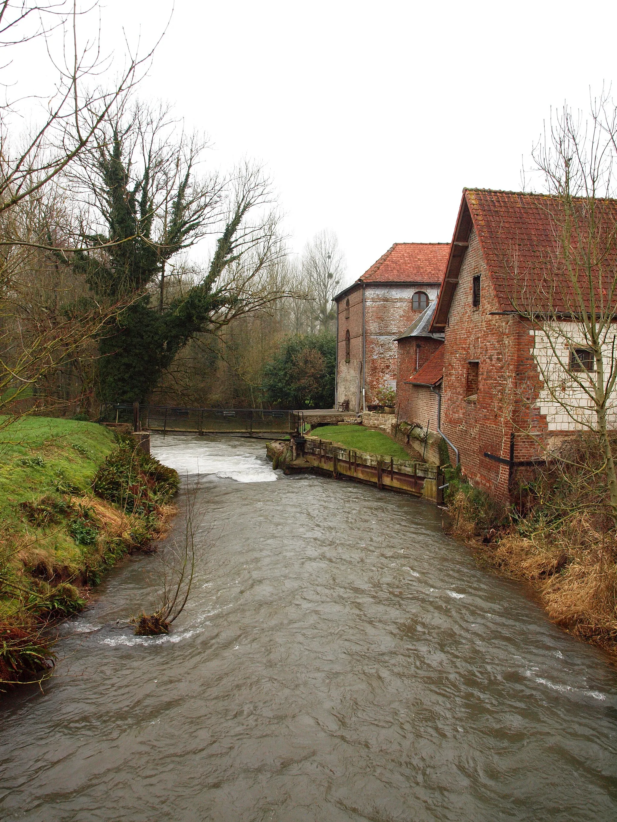 Photo showing: L'Authie à Labroye (Pas-de-Calais, France)