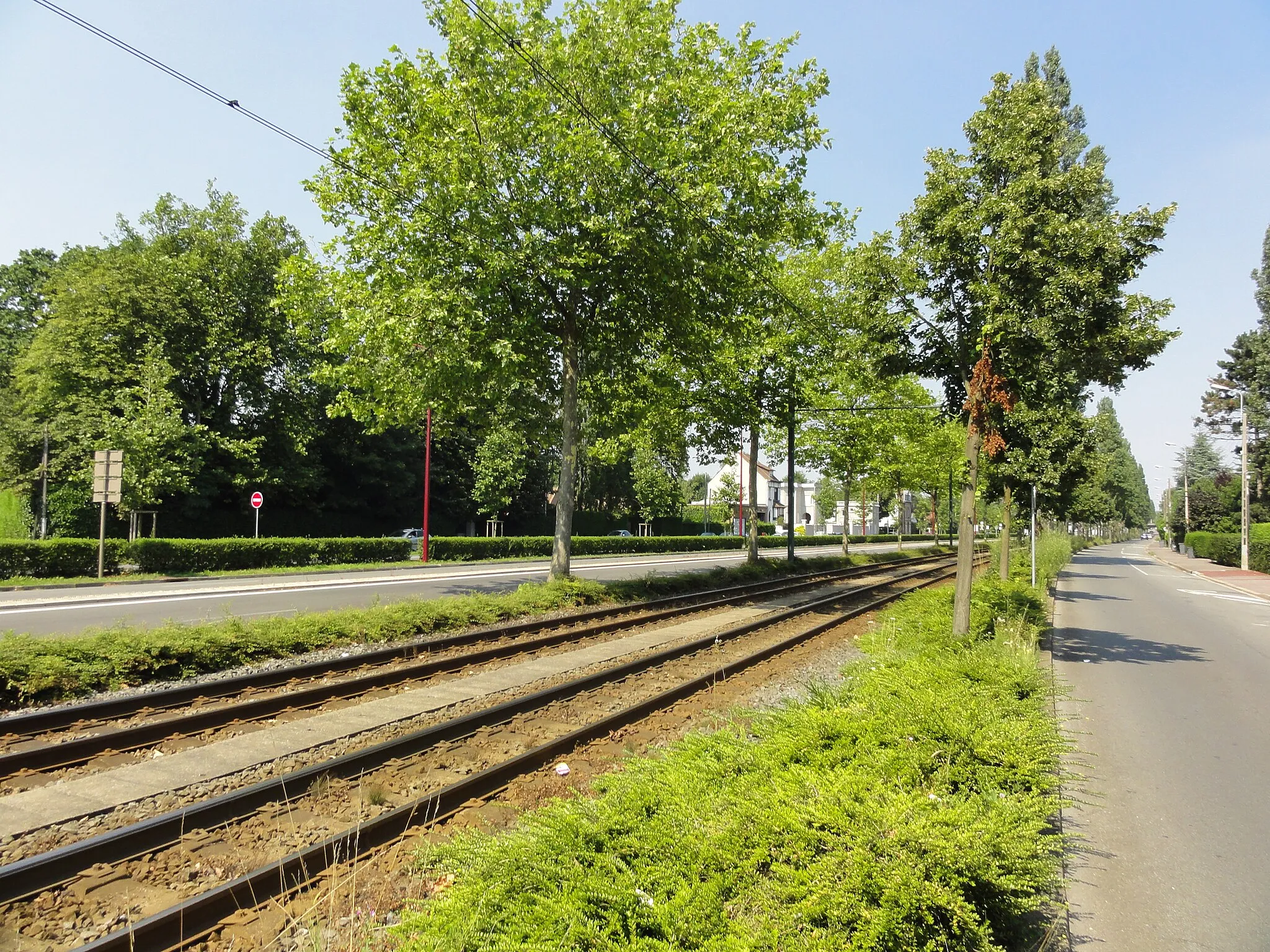 Photo showing: Ligne T du tramway de Lille - Roubaix - Tourcoing.