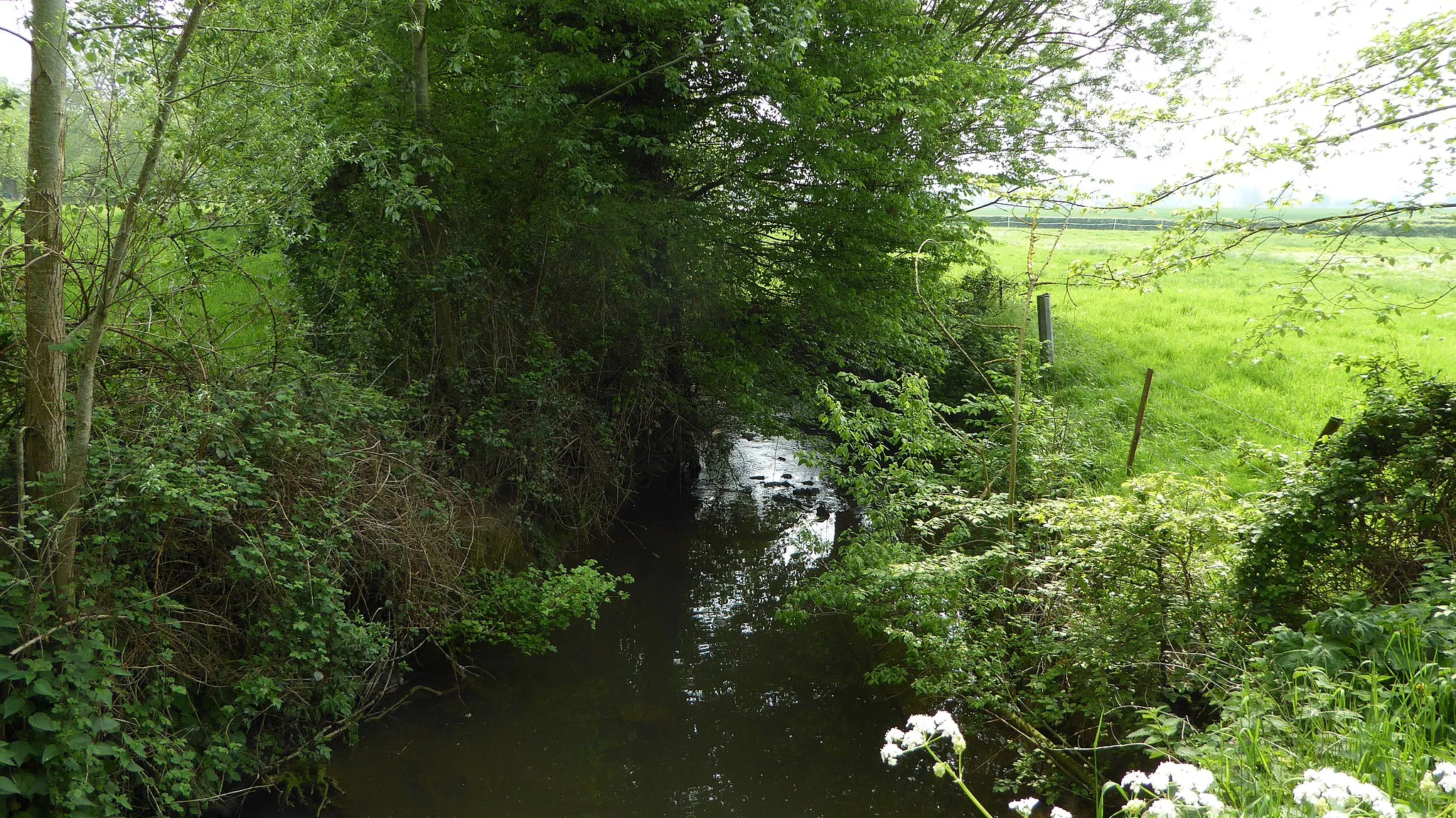 Photo showing: Le ruisseau de la Grande Steenbecque, qui traverse la ZNIEFF 310013315, à Morbecque (Nord, France)