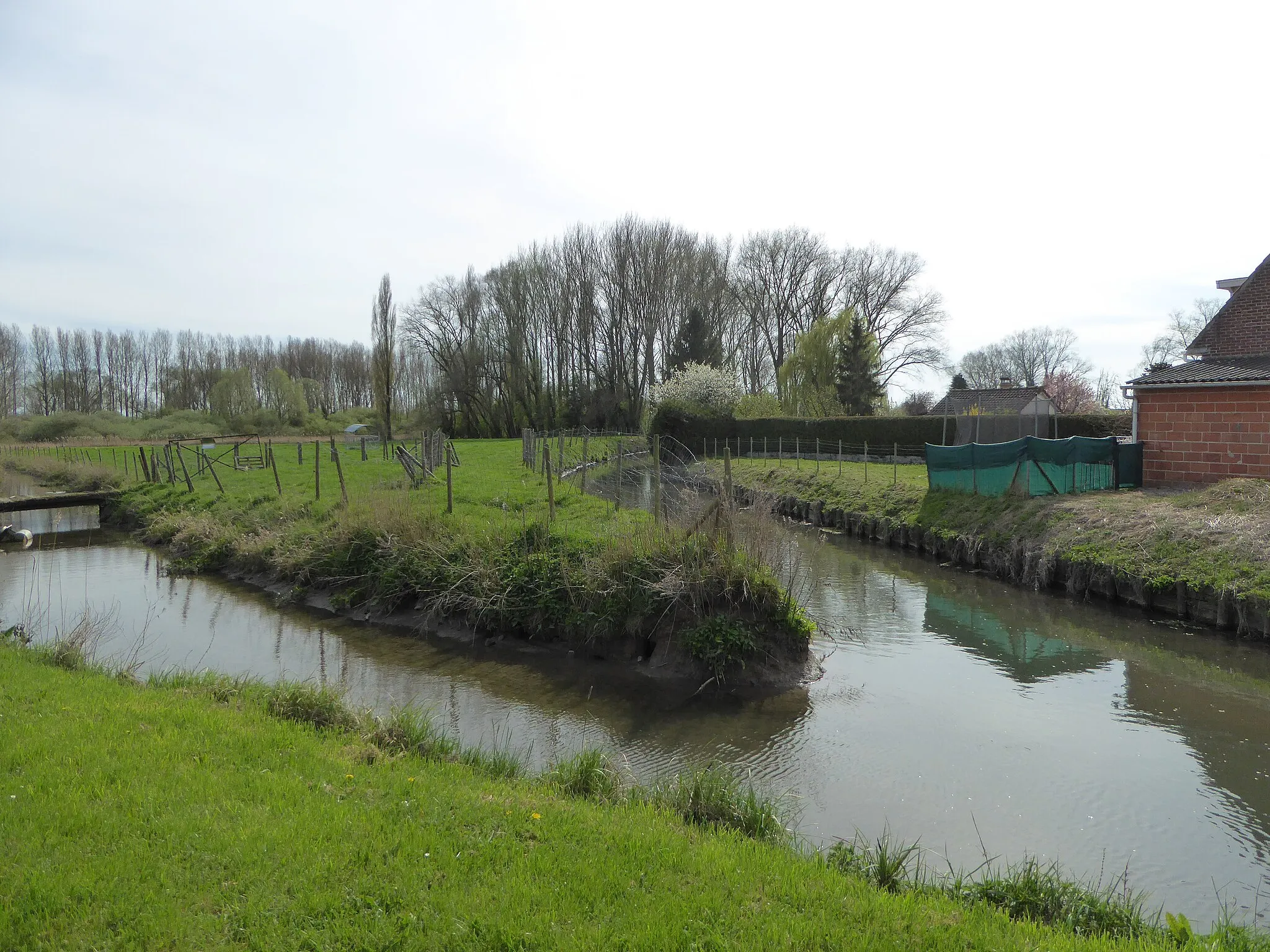 Photo showing: La rivière de Busnes, affluent de la Lys à Saint-Venant Pas-de-Calais.- France.