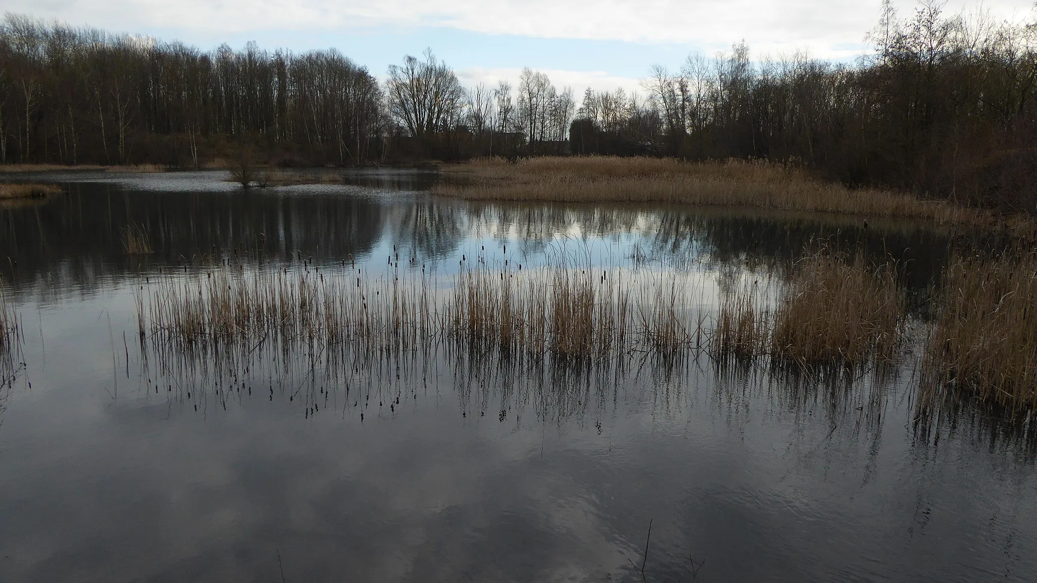 Photo showing: Les étangs de Wingles , Pas-de-Calais, Nord-Pas-de-Calais-Picardie France.