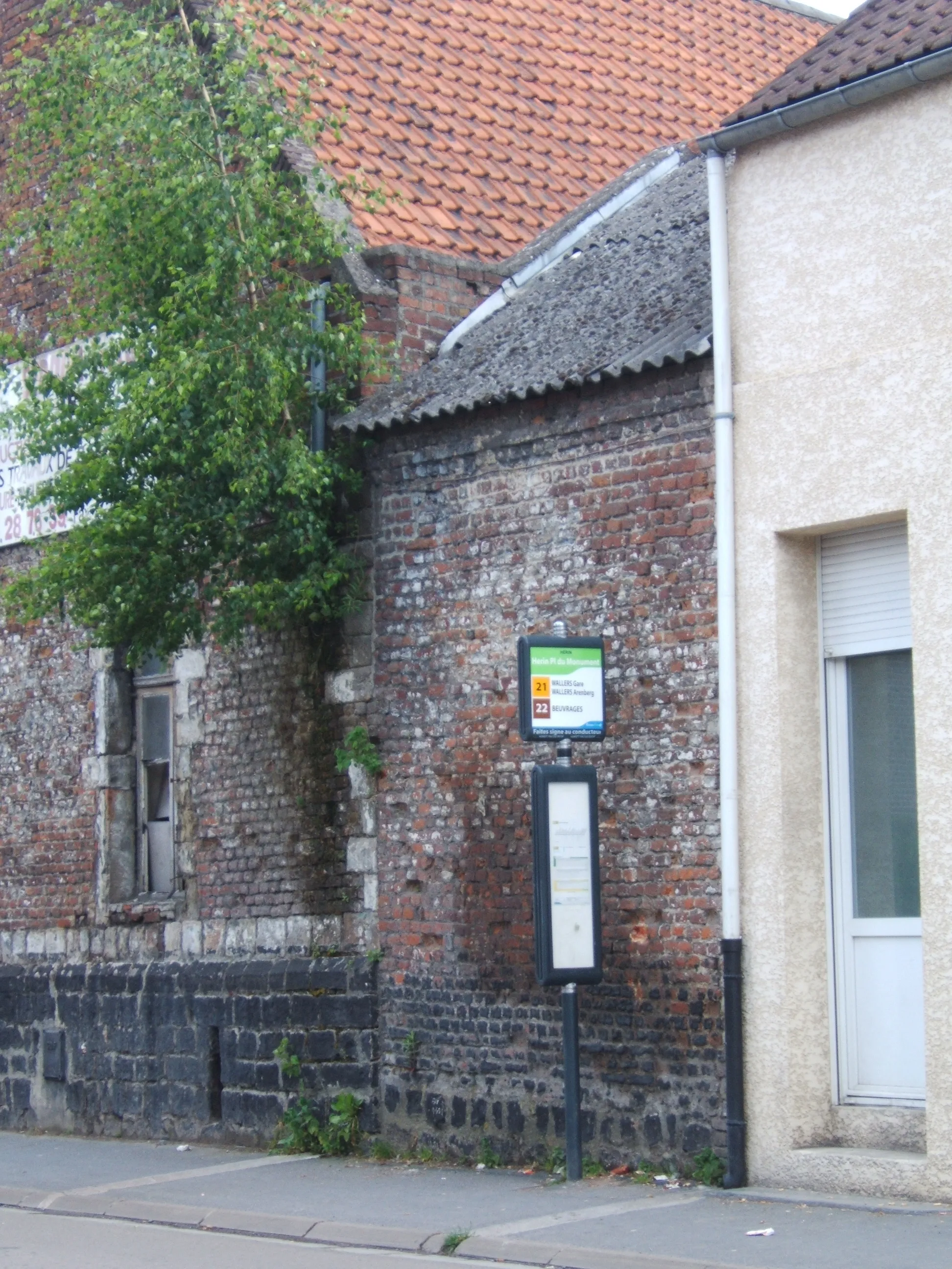 Photo showing: Busstop "Place du Monument" in Hérin met een boom die uit een overwoekerd pand komt