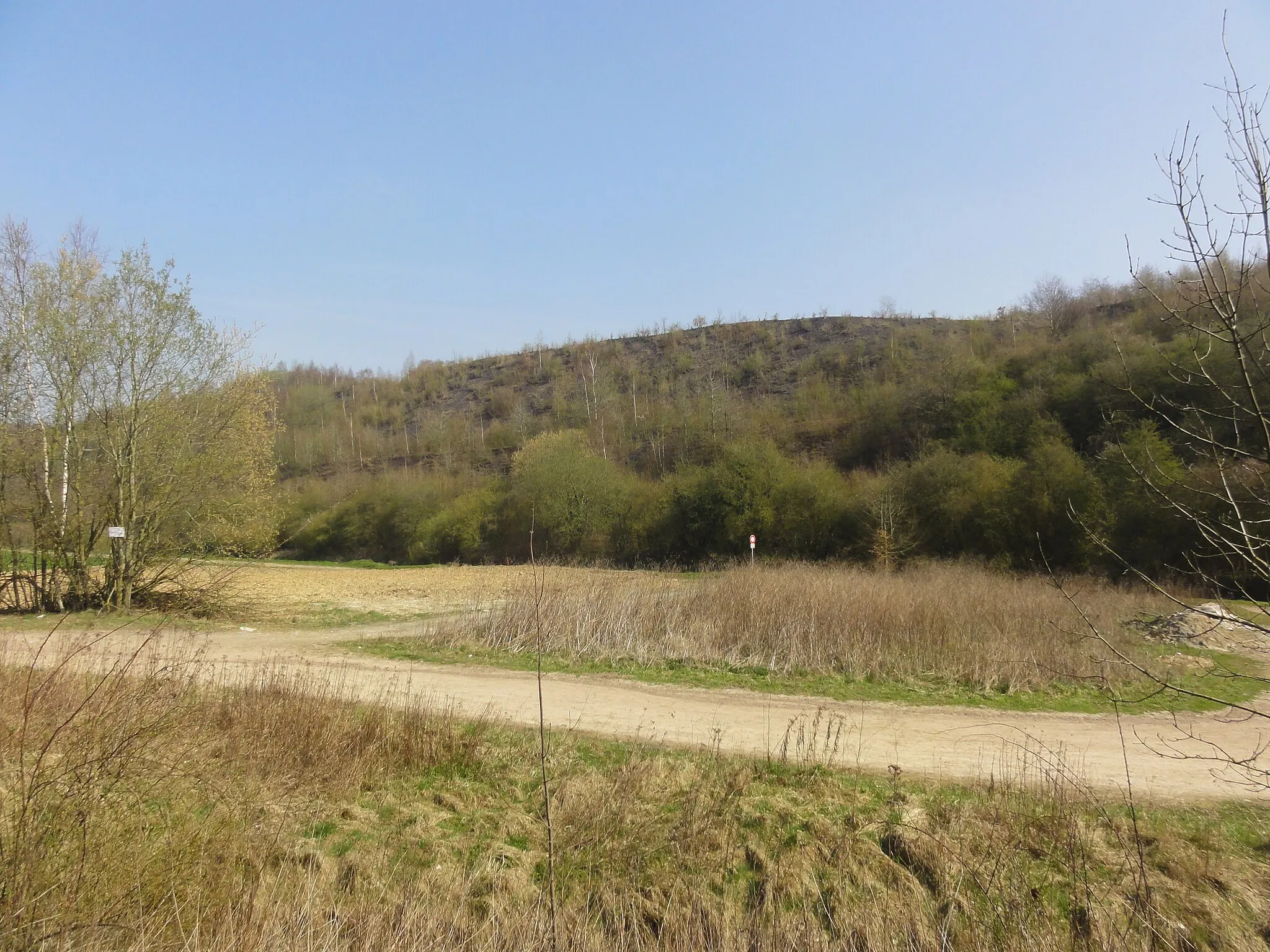 Photo showing: Terril n° 20 dit Rimbert, fosse n° 4 - 4 bis de la Compagnie des mines de Marles, Burbure et Auchel, Pas-de-Calais, Nord-Pas-de-Calais, France.