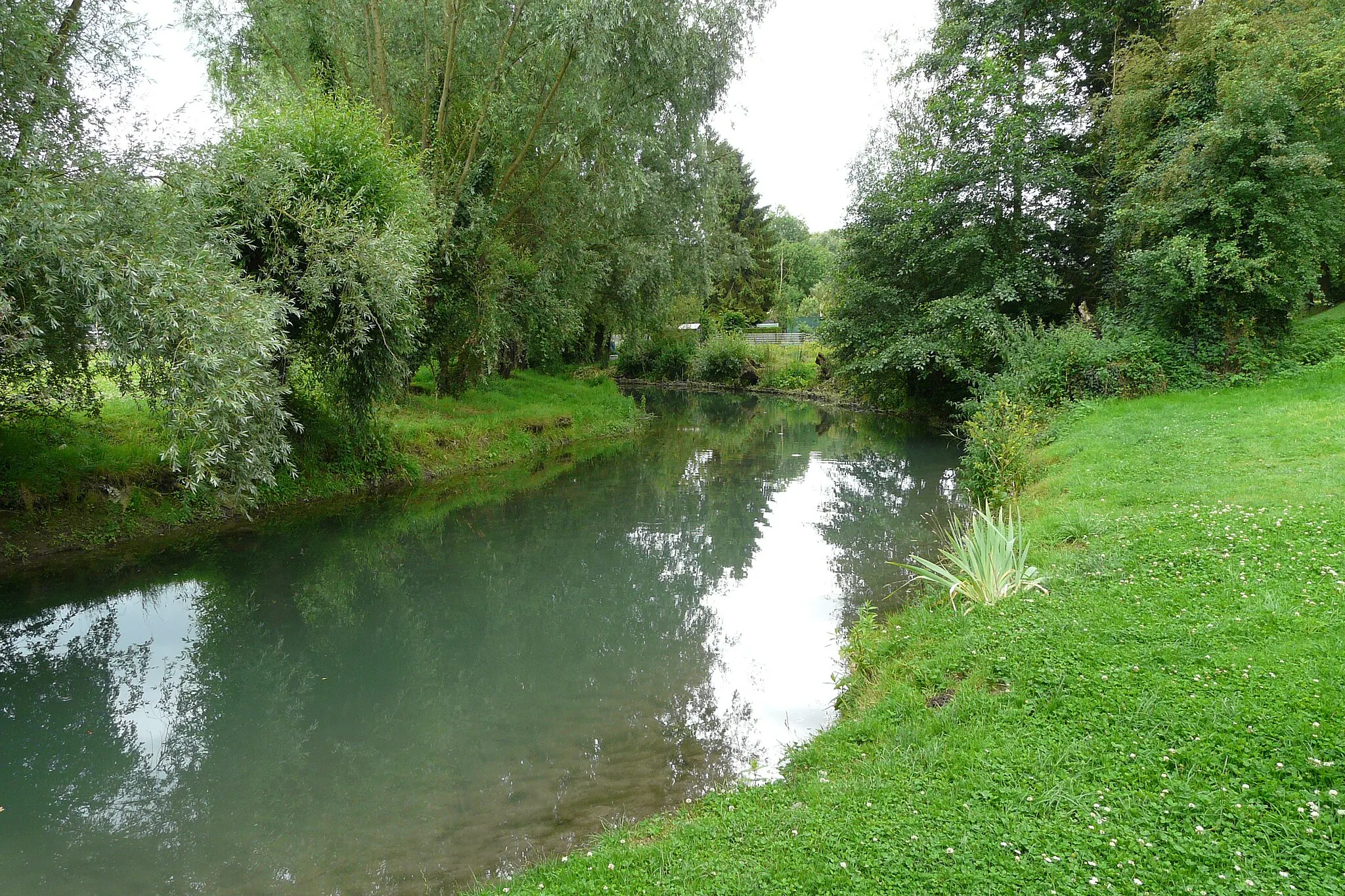Photo showing: River Selle (a tributary of Schelde) in Le Cateau-Cambrésis