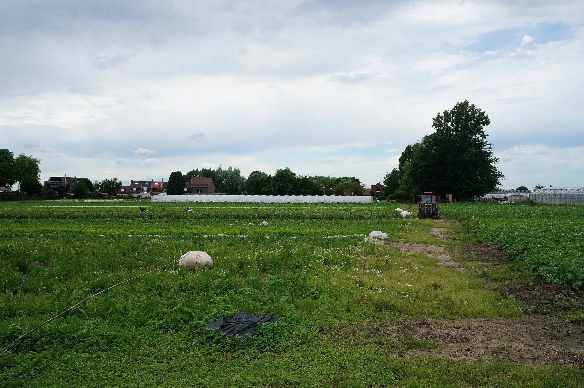 Photo showing: Chemin des Boeufs Wambrechies Nord France