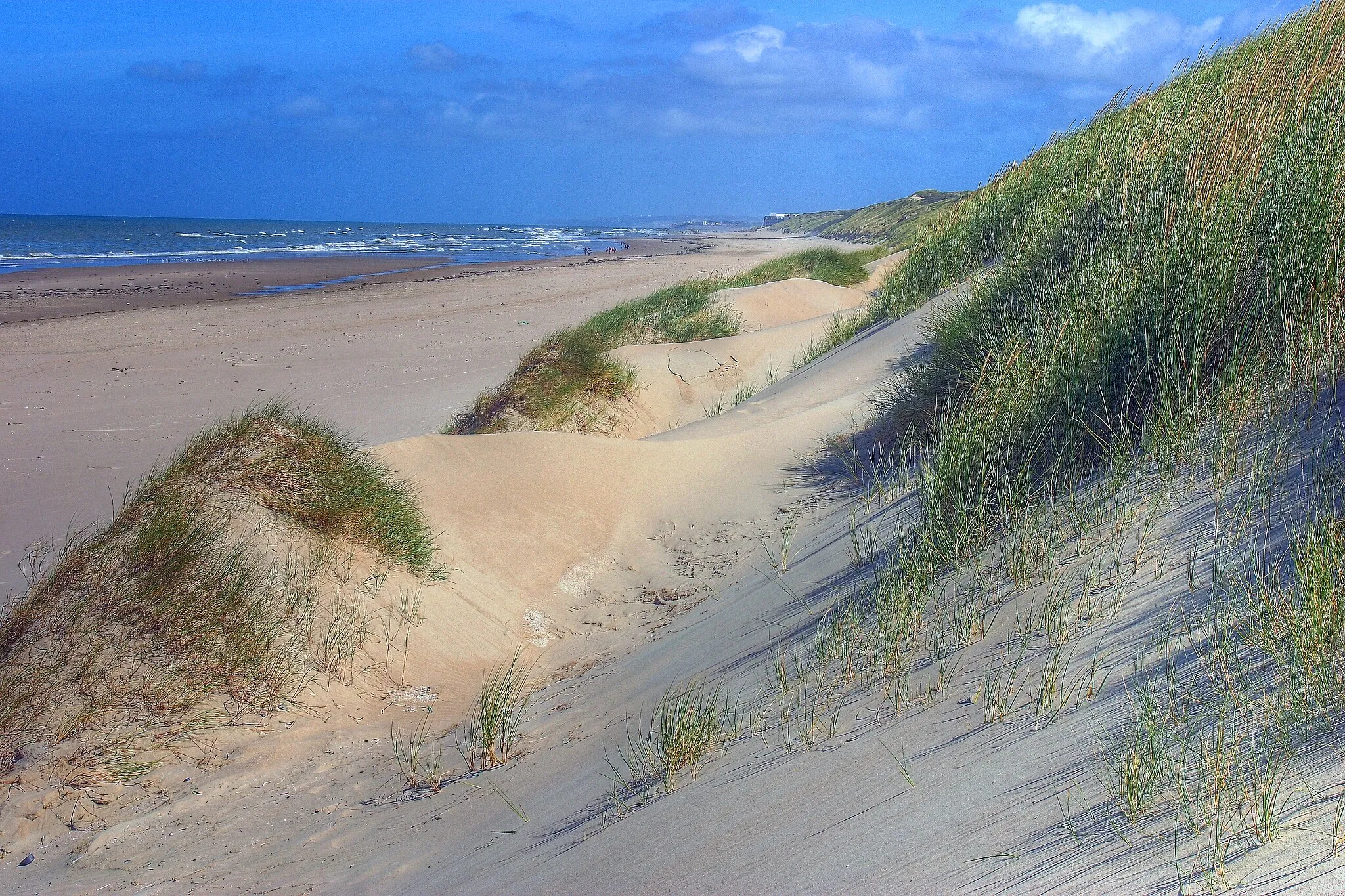 Photo showing: Les dunes au sud du Touquet
