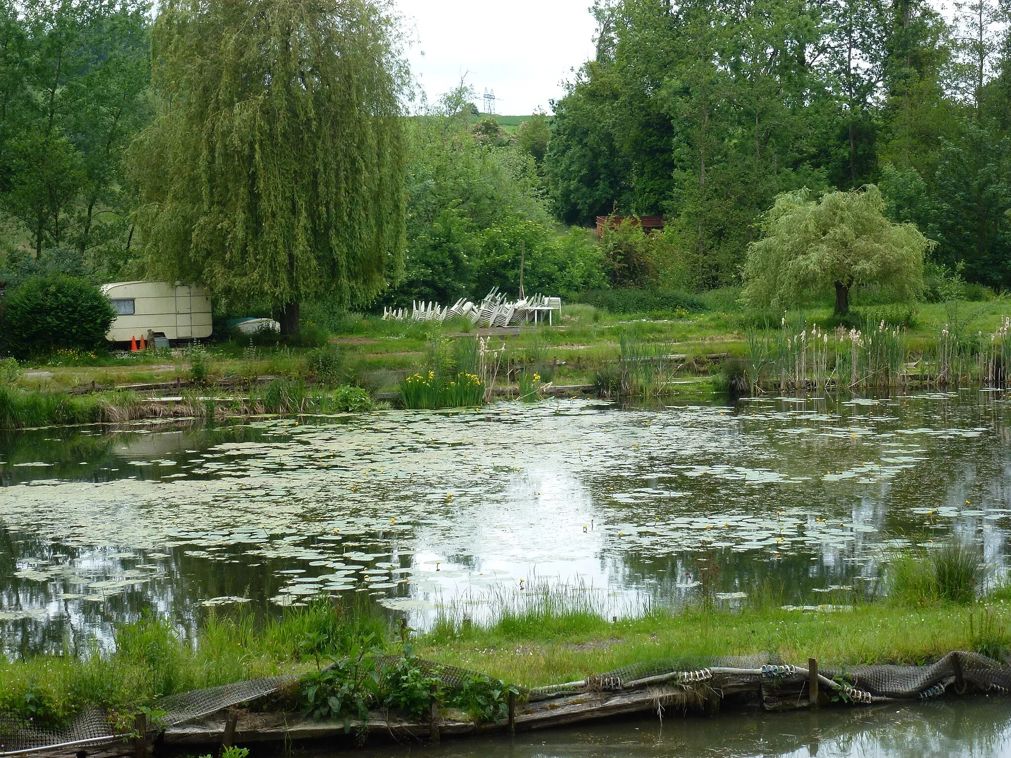 Photo showing: l’étang des Sources Artres,  commune du Nord, (ancien Comté de Hainaut) France.