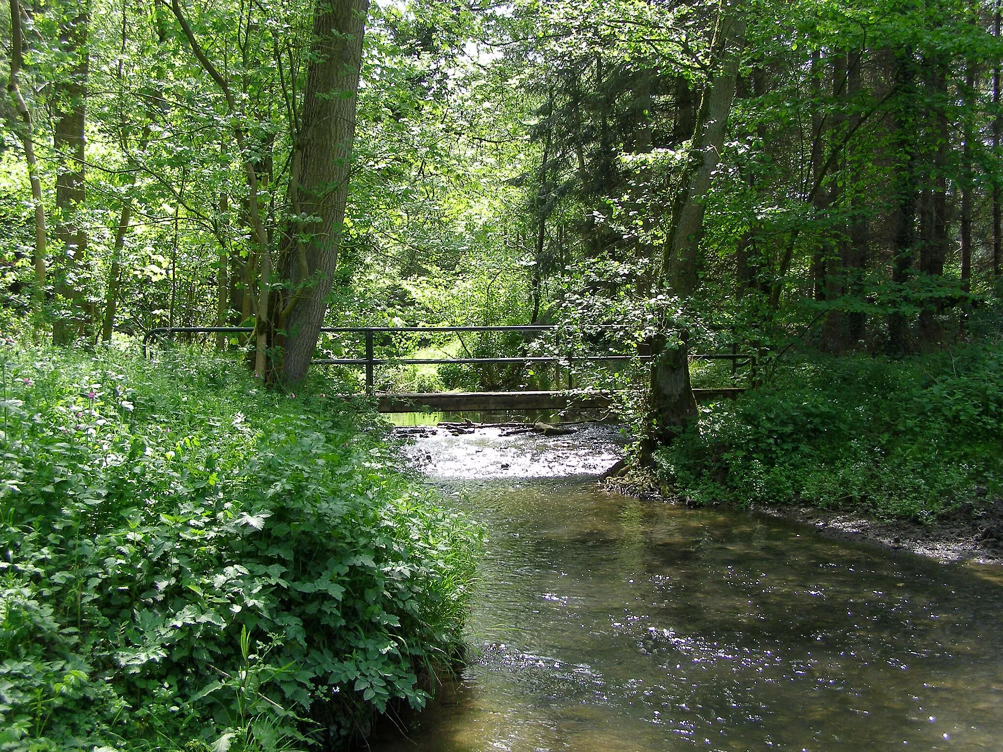 Photo showing: The Solre tributary of the Sambre.