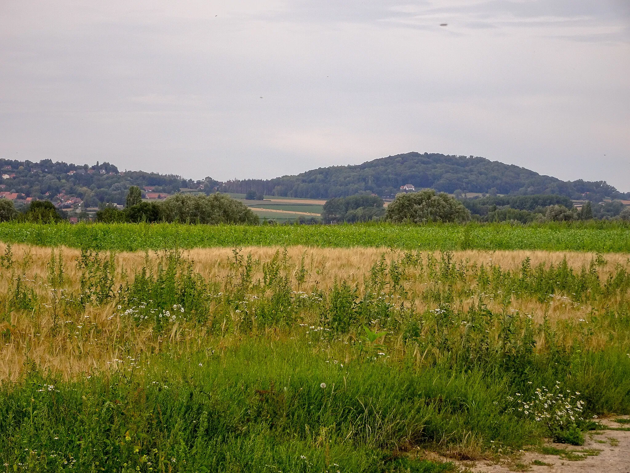 Photo showing: Mont des Récollets vu de Hondeghem Nord.