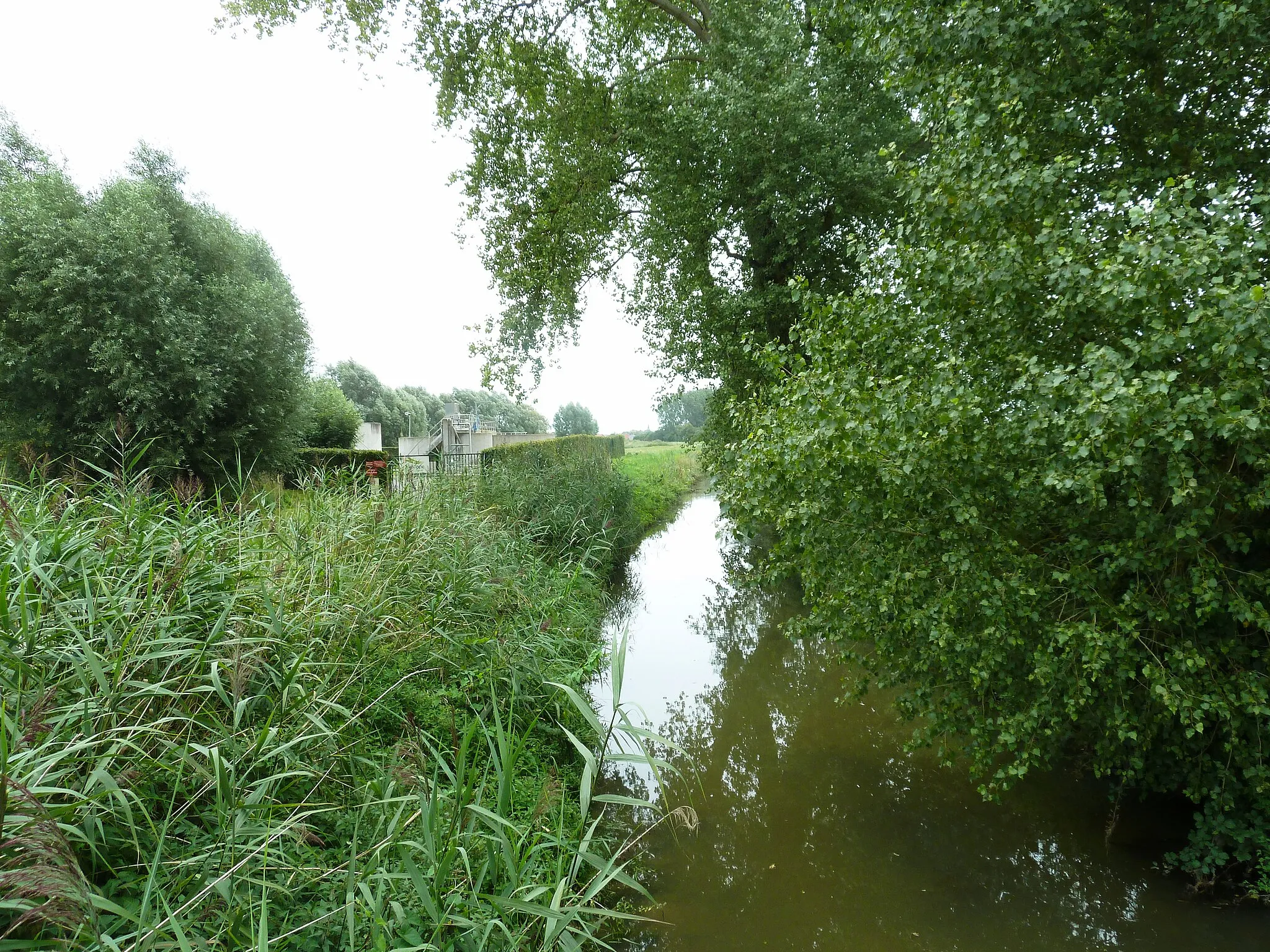 Photo showing: La Nouvelle Melde à Boëseghem dans le Nord Nord-Pas-de-Calais.- France.