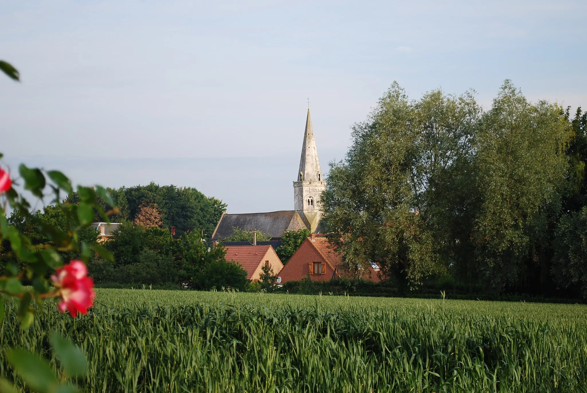 Photo showing: Eglise de Sercus