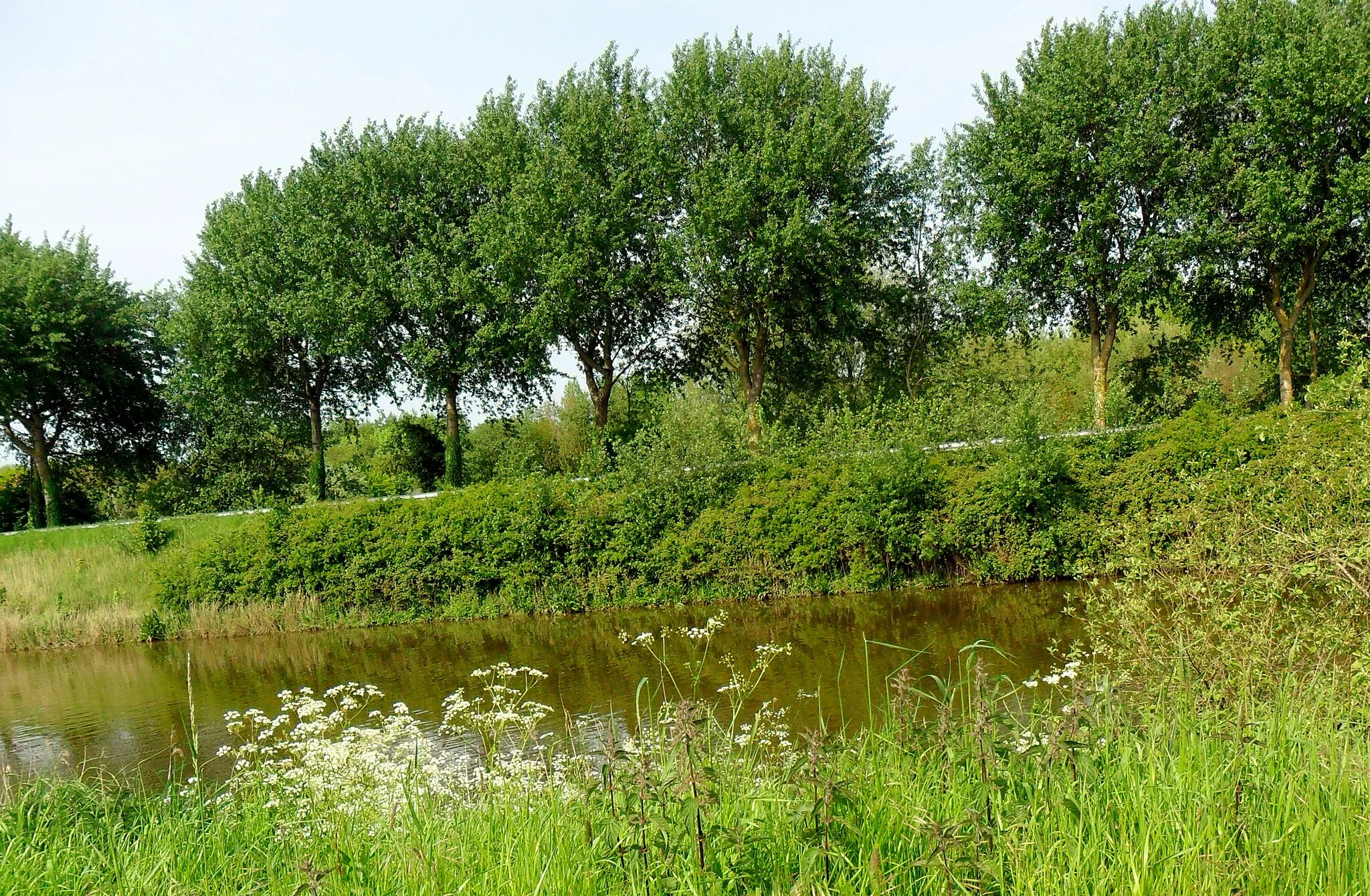 Photo showing: Canal between Calais and Bergues