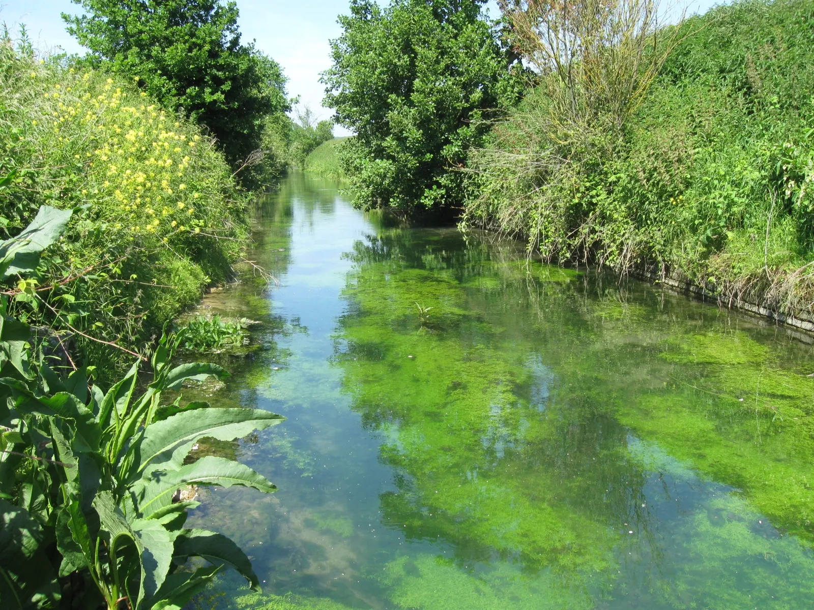 Photo showing: La rigole du Noirieux