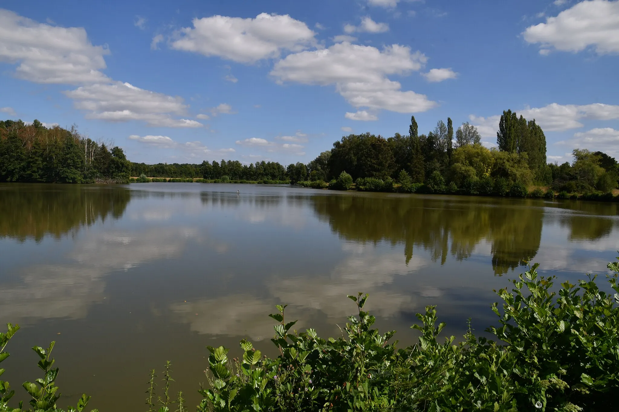 Photo showing: Plan d'eau de la Nigaudière sur le Vilpion à Plomion