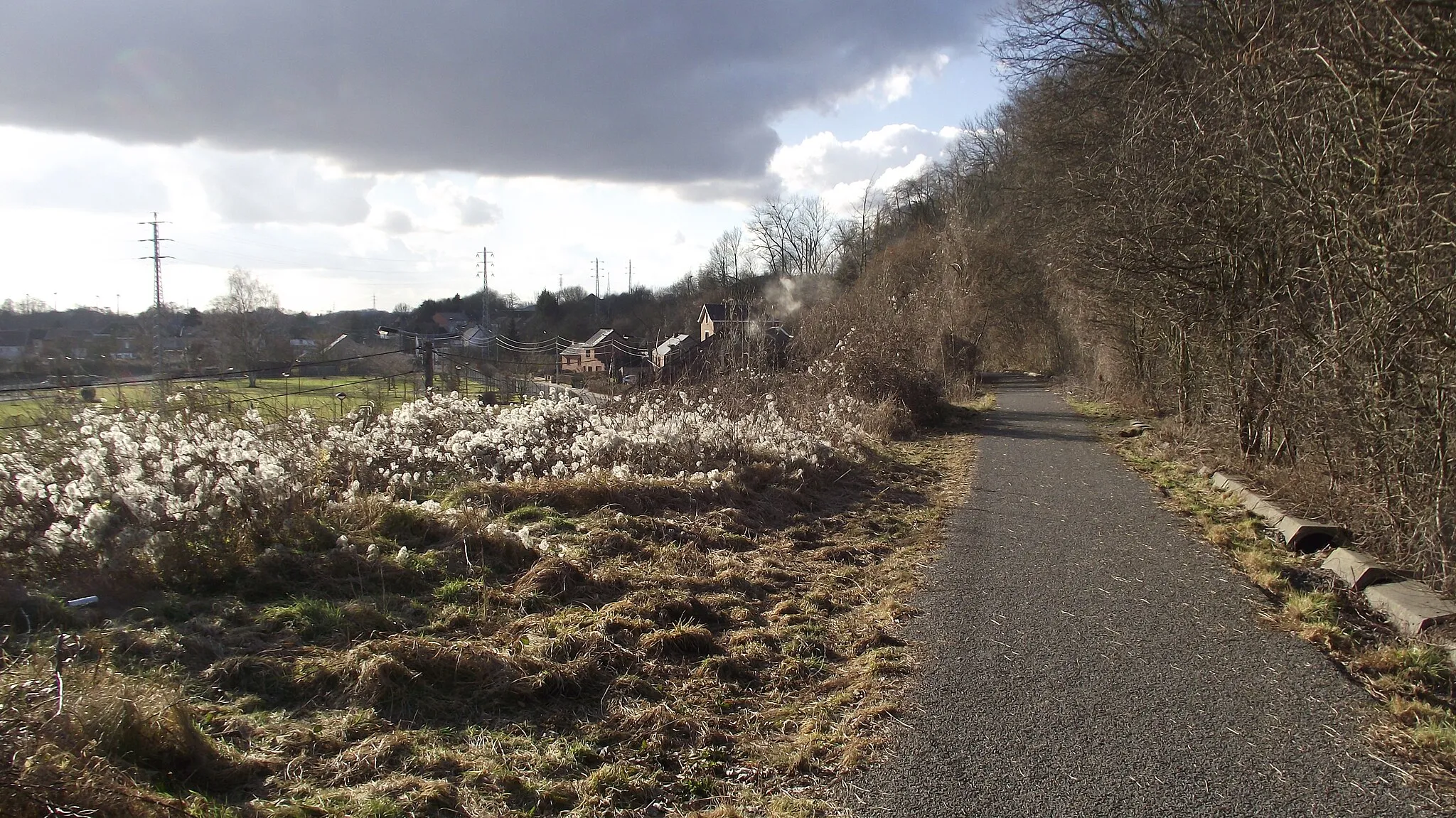 Photo showing: Vroegere buurtspoorlijn ex lijn 90 in de buurt van St.Vaast, nu een pré-RAVel fiets/wandelpad.