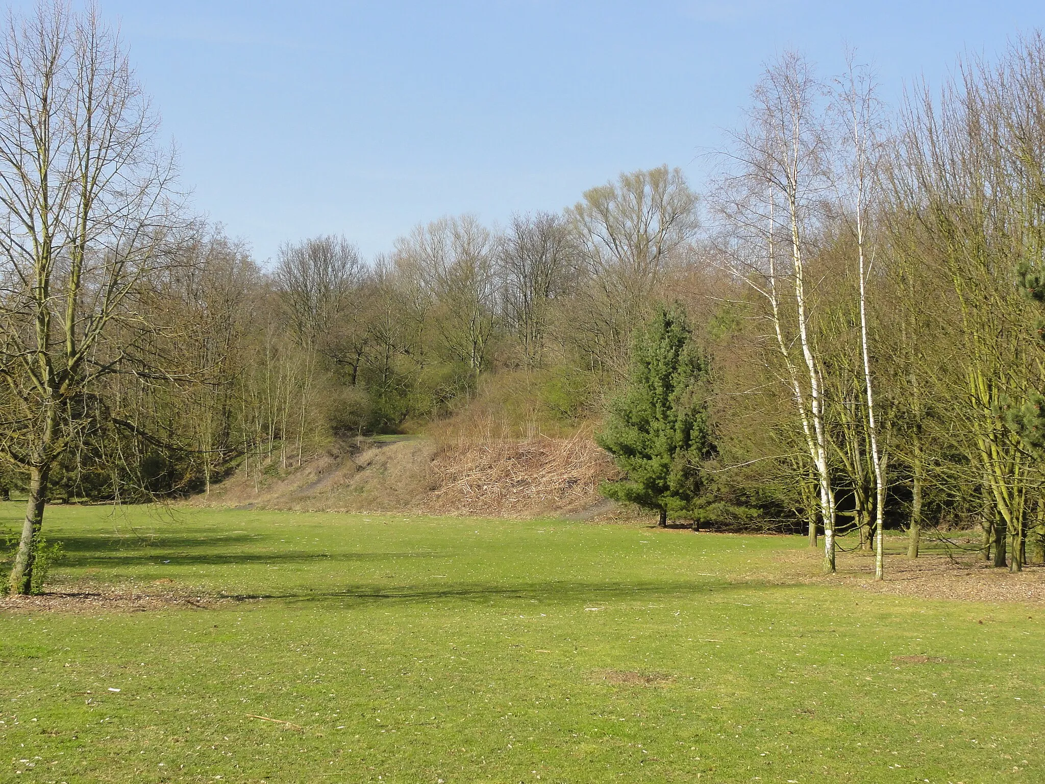 Photo showing: Terril n° 91 dit 6 - 7 de Drocourt, fosse n° 6 - 7 de la Compagnie des mines de Drocourt dans le bassin minier du Nord-Pas-de-Calais, Hénin-Beaumont, Pas-de-Calais, Nord-Pas-de-Calais, France.