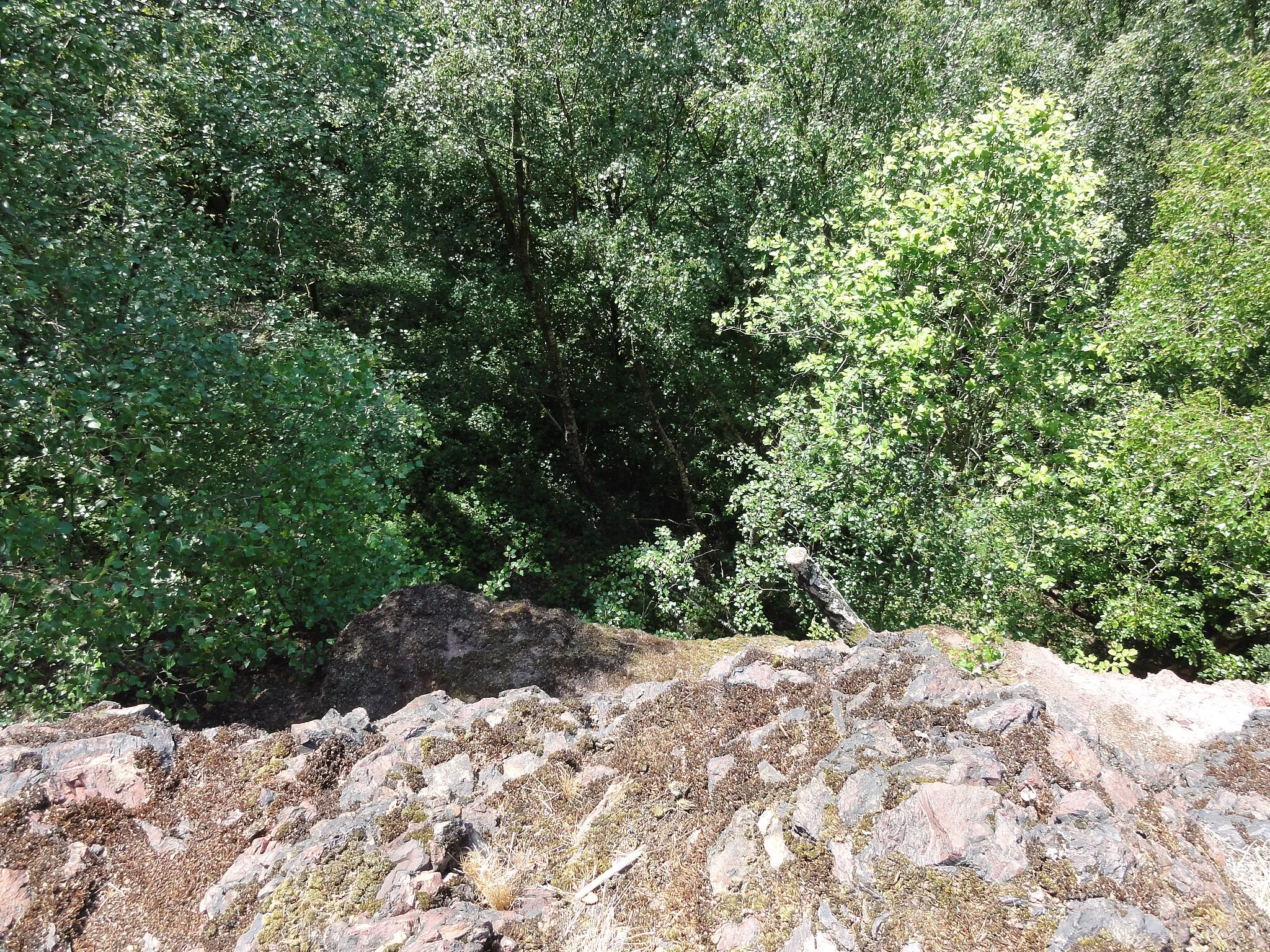 Photo showing: Terril n° 173 dit Vicoigne Est, Fosse n° 4 de la Compagnie des mines de Vicoigne, Raismes, Nord, Nord-Pas-de-Calais, France.